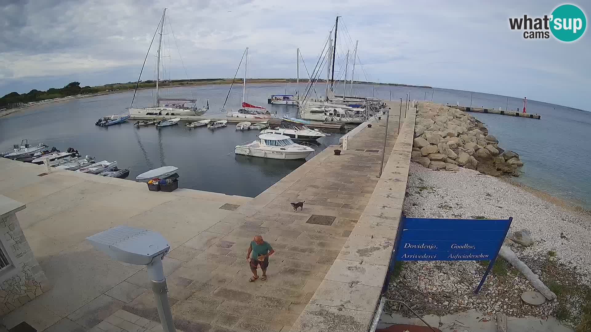 Webcam de l’île d’Unije – Explorez la beauté du joyau caché de la Croatie