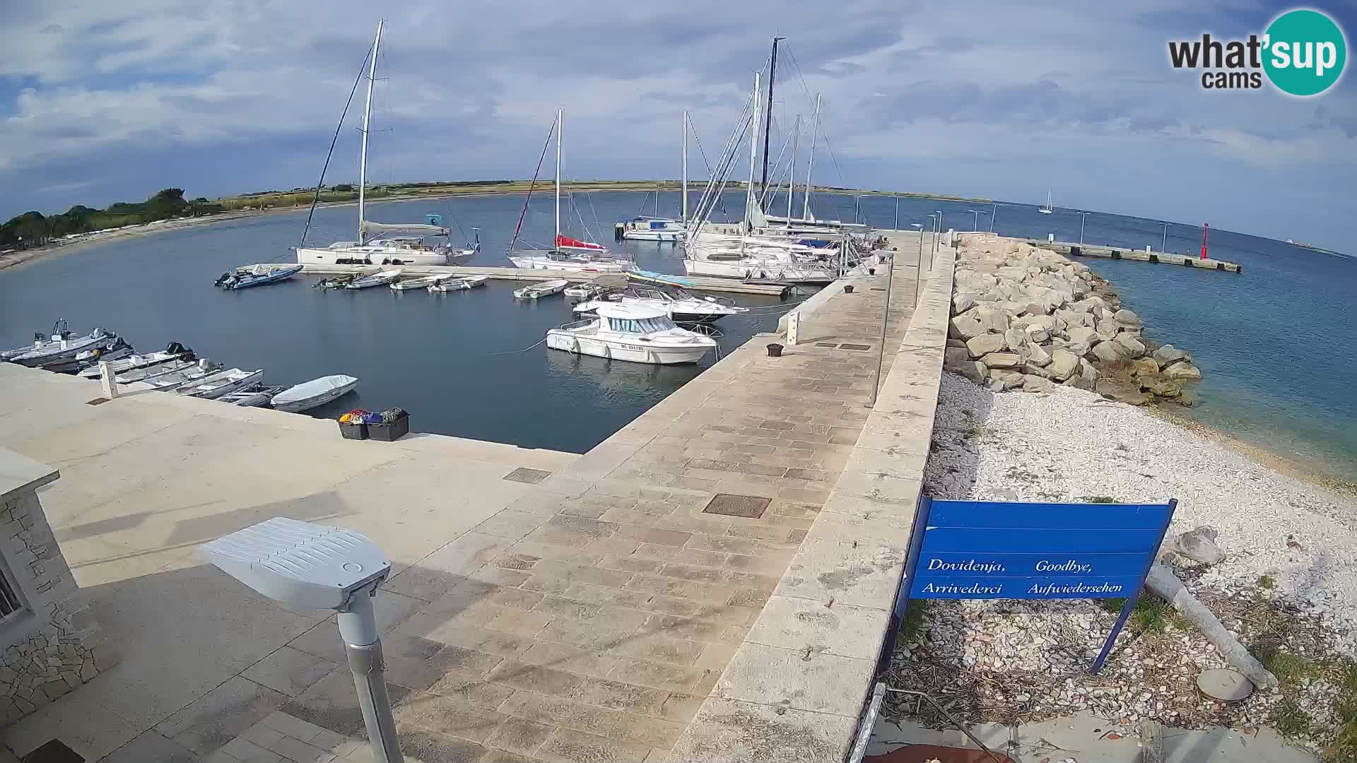 Cámara web de la isla de Unije: explore la belleza de la joya escondida de Croacia