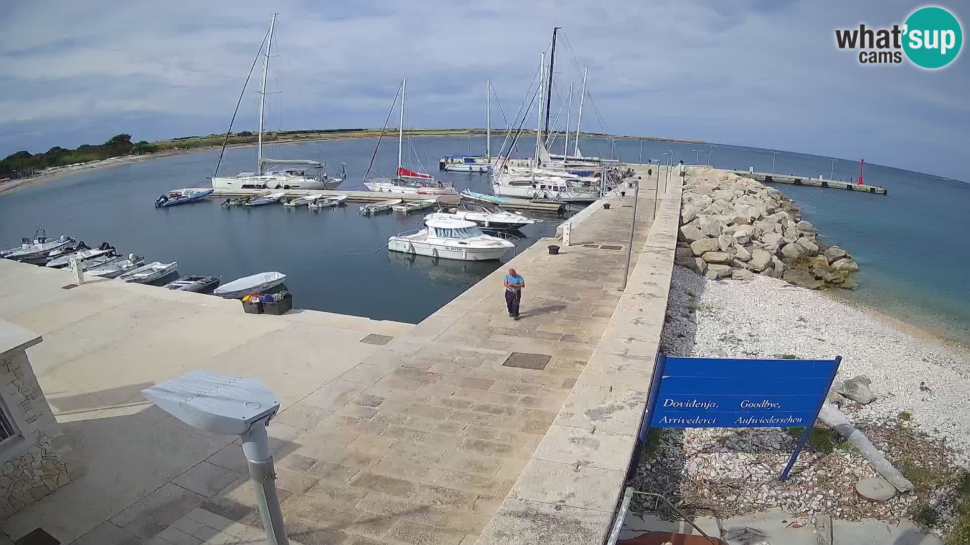 Cámara web de la isla de Unije: explore la belleza de la joya escondida de Croacia
