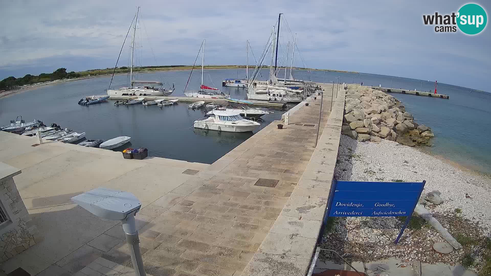 Cámara web de la isla de Unije: explore la belleza de la joya escondida de Croacia
