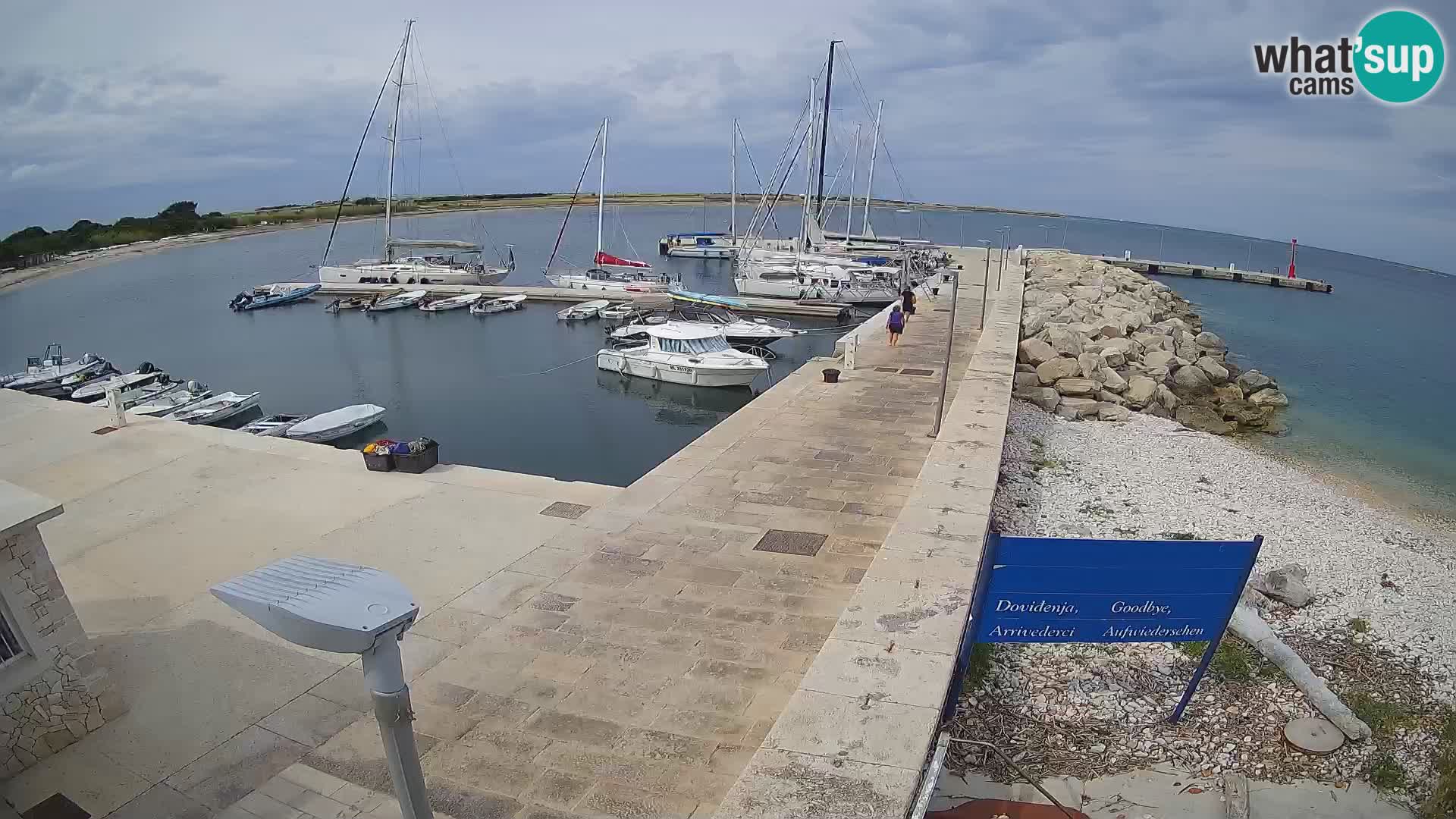 Cámara web de la isla de Unije: explore la belleza de la joya escondida de Croacia