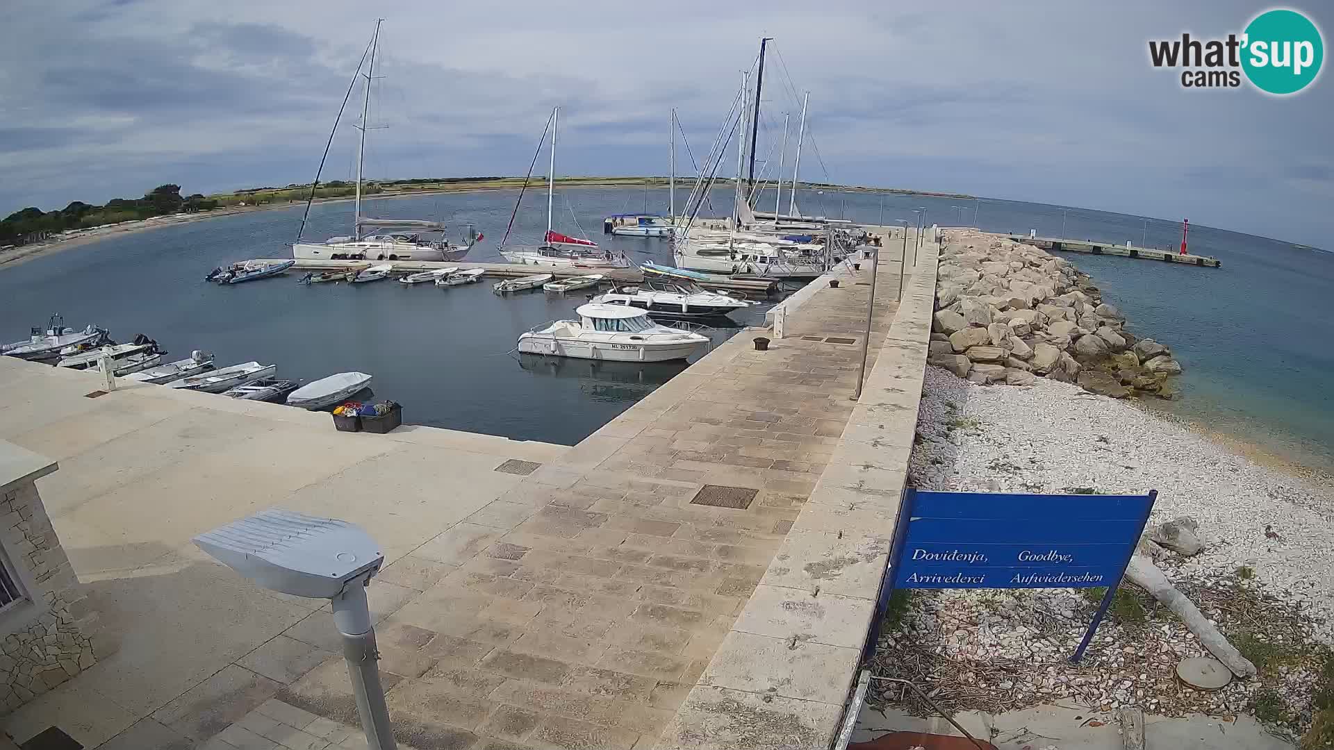 Cámara web de la isla de Unije: explore la belleza de la joya escondida de Croacia