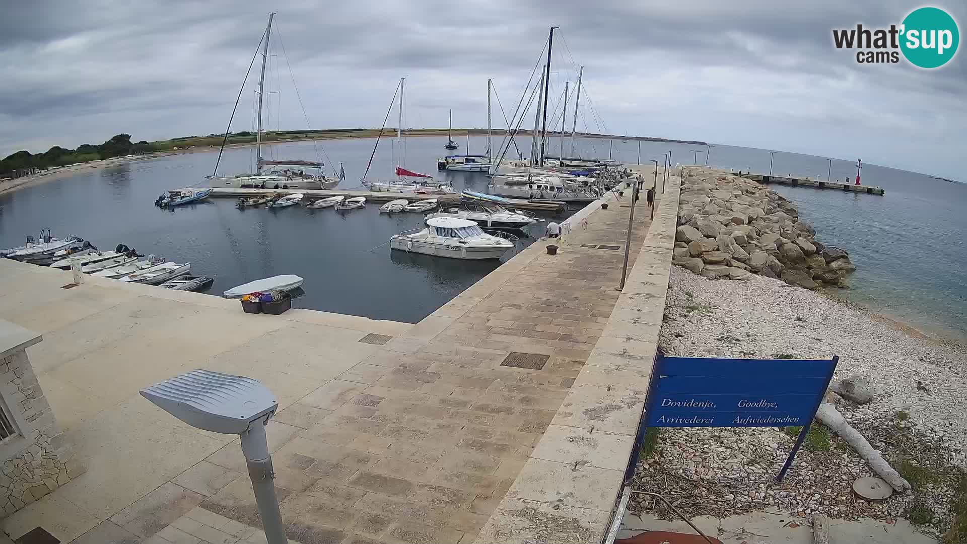 Webcam Isola di Unije – Esplora la bellezza della gemma nascosta della Croazia
