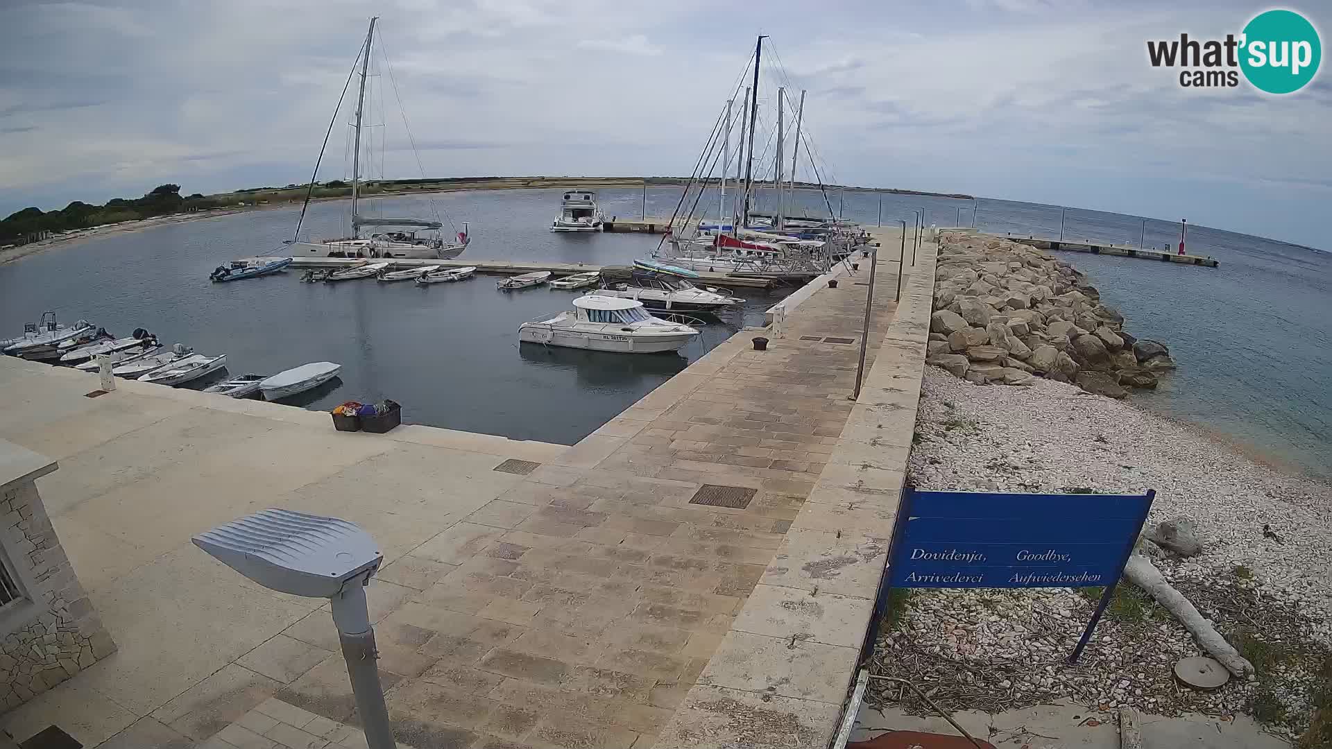 Cámara web de la isla de Unije: explore la belleza de la joya escondida de Croacia