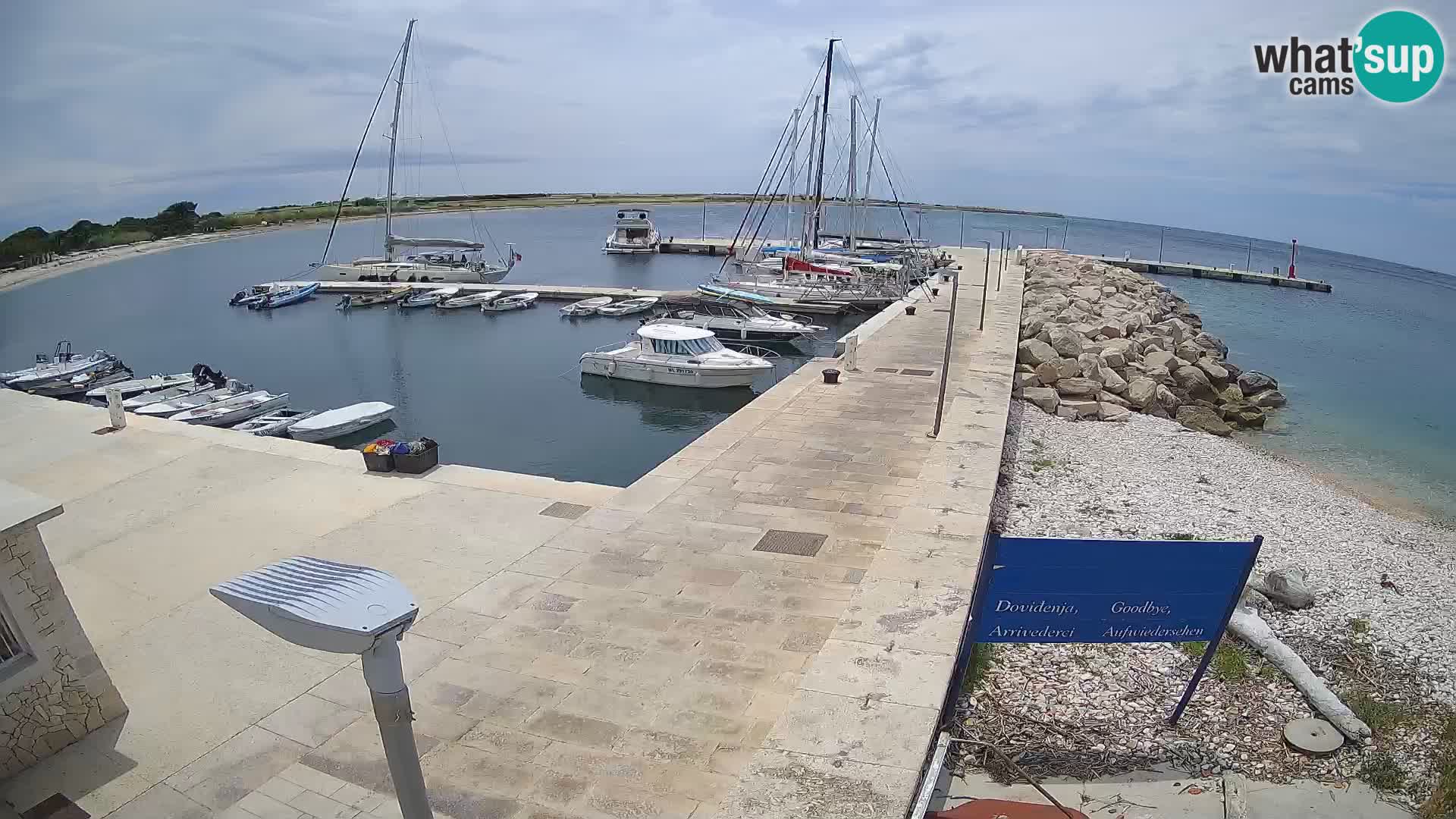 Cámara web de la isla de Unije: explore la belleza de la joya escondida de Croacia