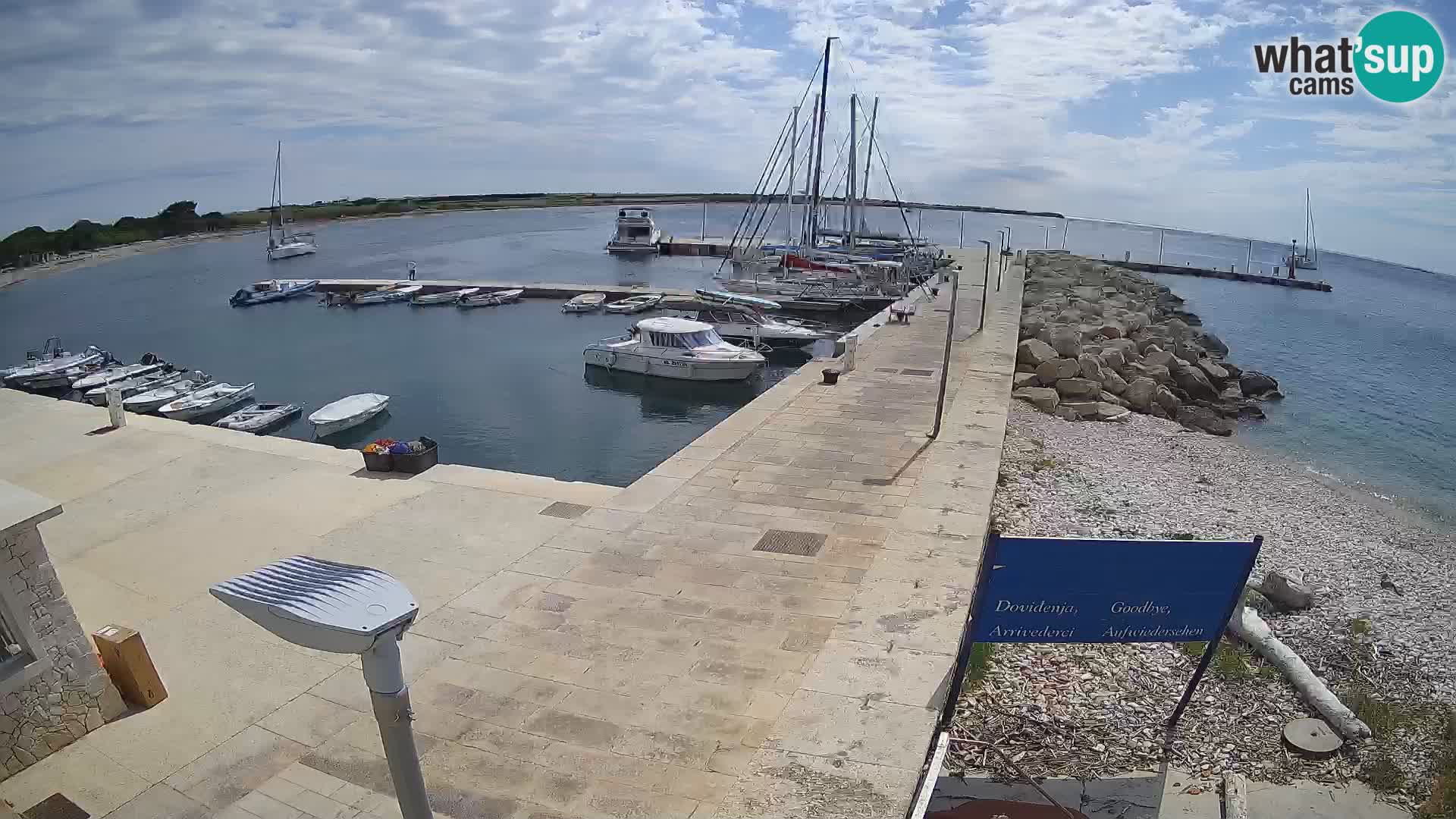 Cámara web de la isla de Unije: explore la belleza de la joya escondida de Croacia