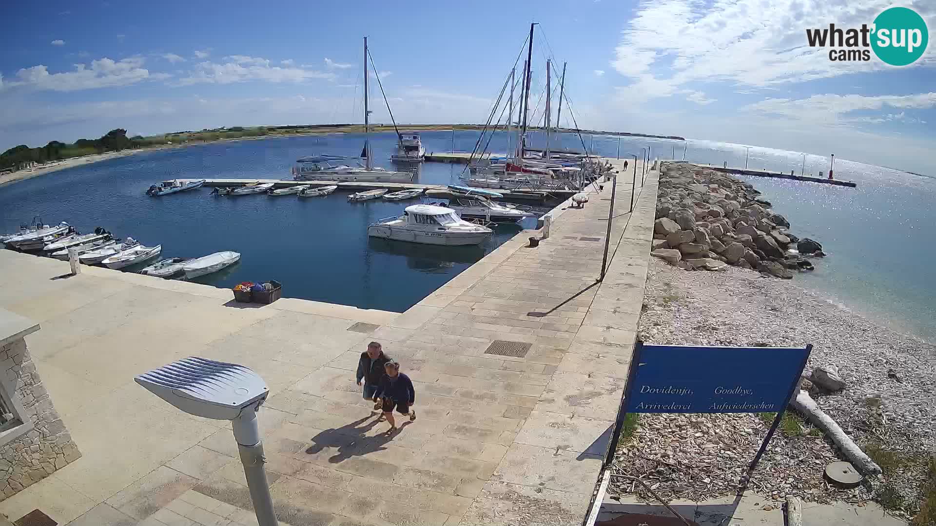 Cámara web de la isla de Unije: explore la belleza de la joya escondida de Croacia