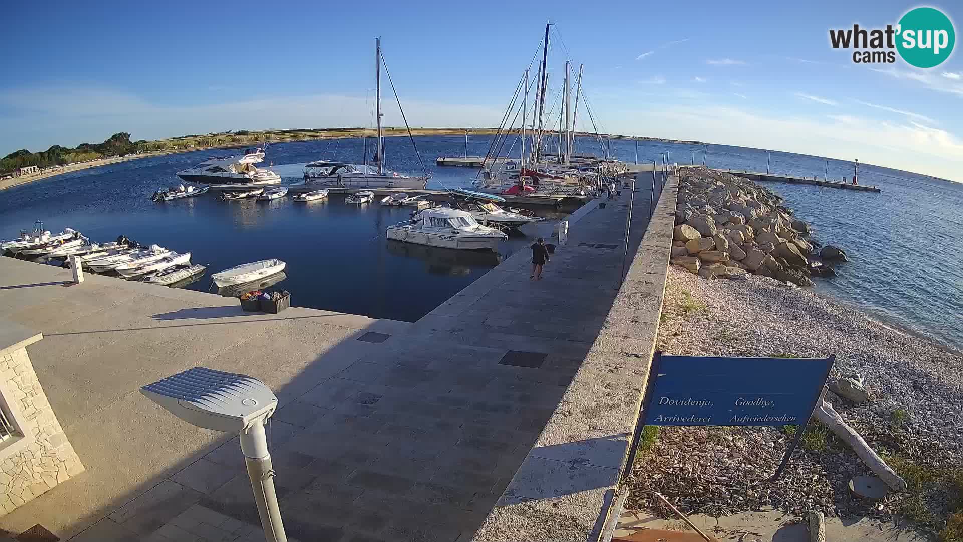 Cámara web de la isla de Unije: explore la belleza de la joya escondida de Croacia