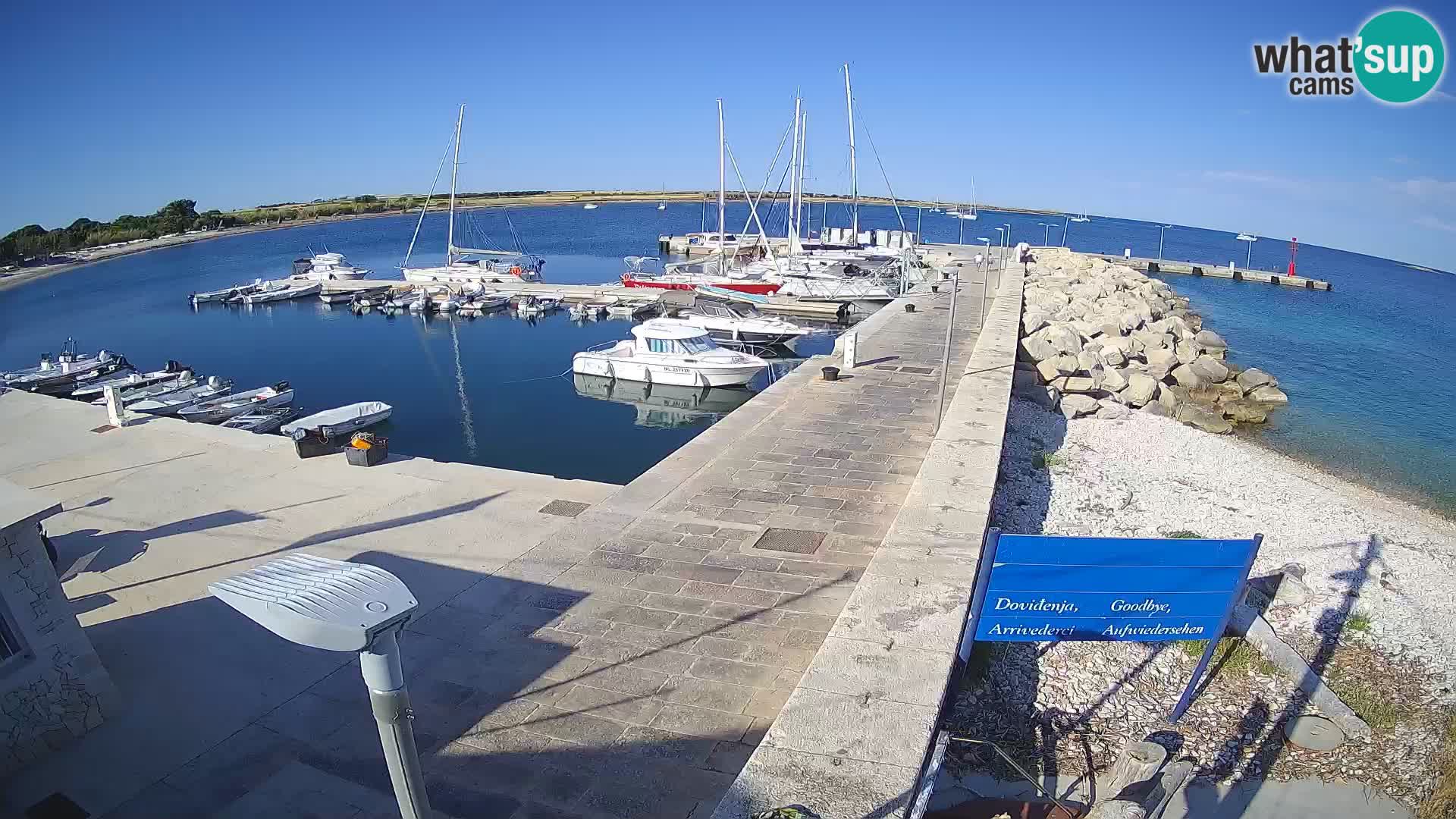 Cámara web de la isla de Unije: explore la belleza de la joya escondida de Croacia