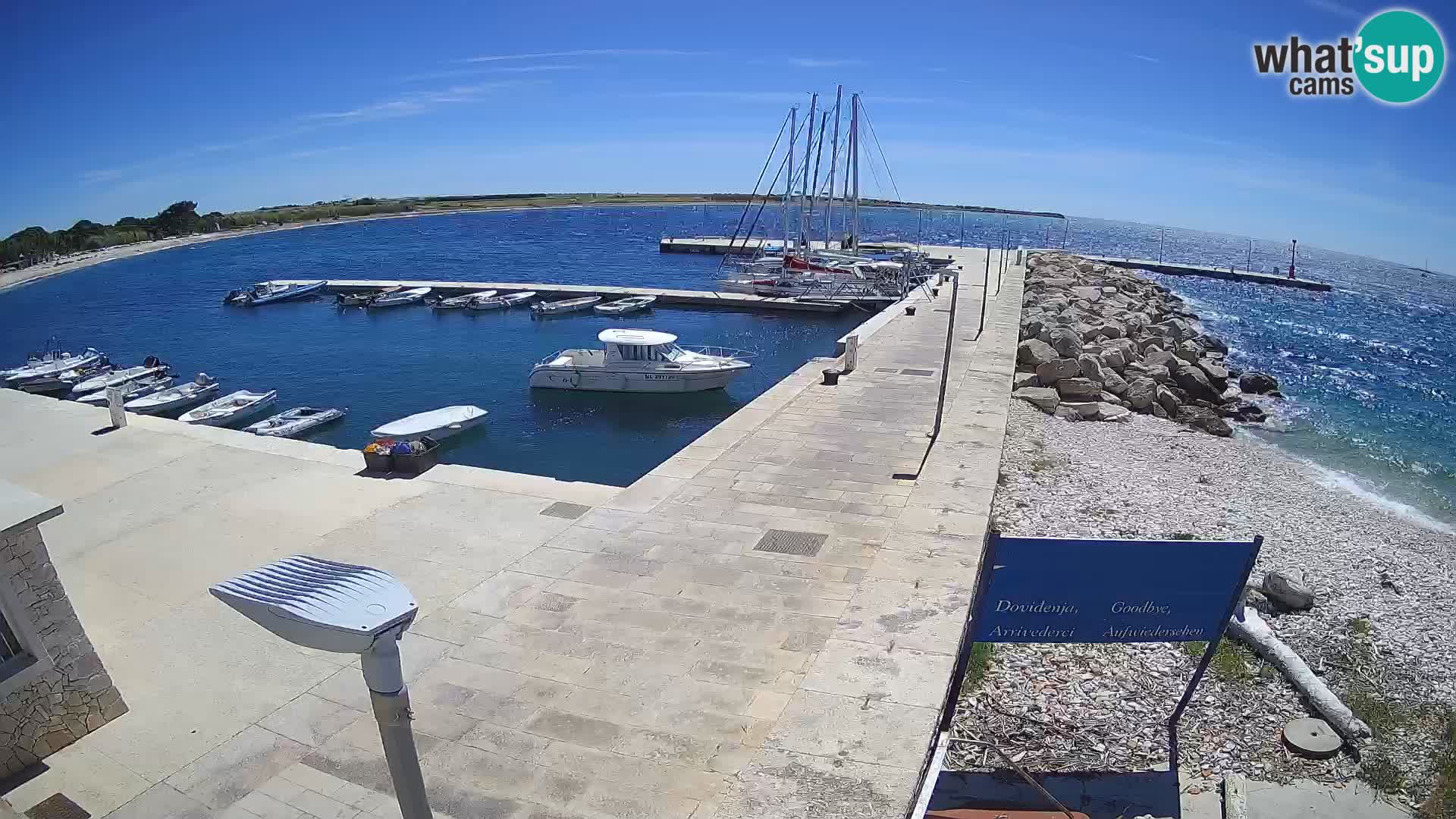 Webcam Isola di Unije – Esplora la bellezza della gemma nascosta della Croazia