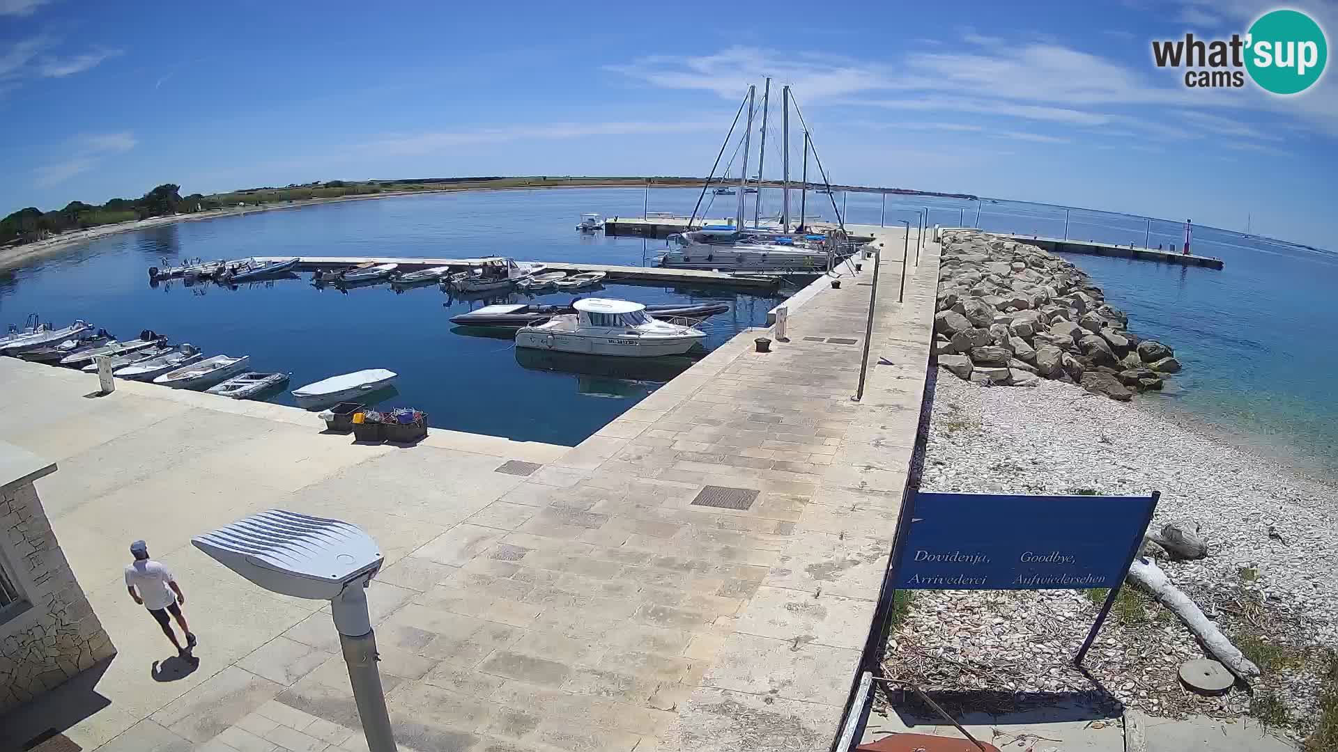Cámara web de la isla de Unije: explore la belleza de la joya escondida de Croacia