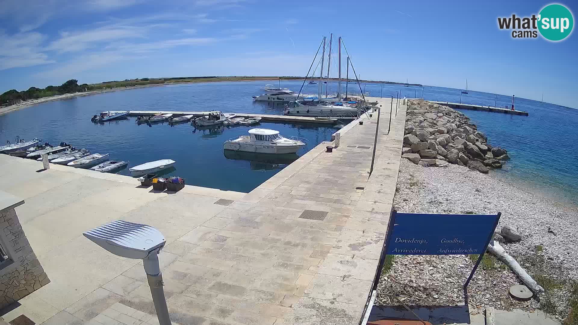 Insel Unije Webcam – Entdecken Sie die Schönheit von Kroatiens verstecktem Juwel