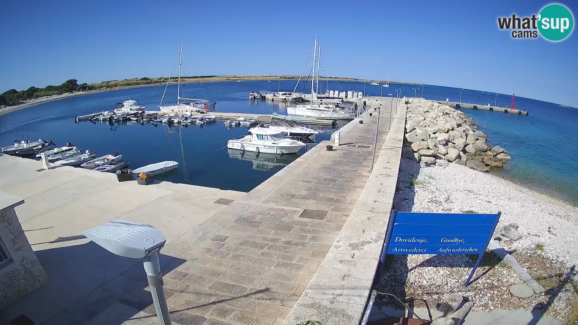 Webcam Isola di Unije – Esplora la bellezza della gemma nascosta della Croazia