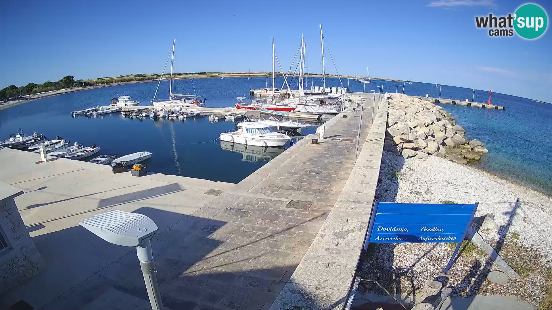 Cámara web de la isla de Unije: explore la belleza de la joya escondida de Croacia