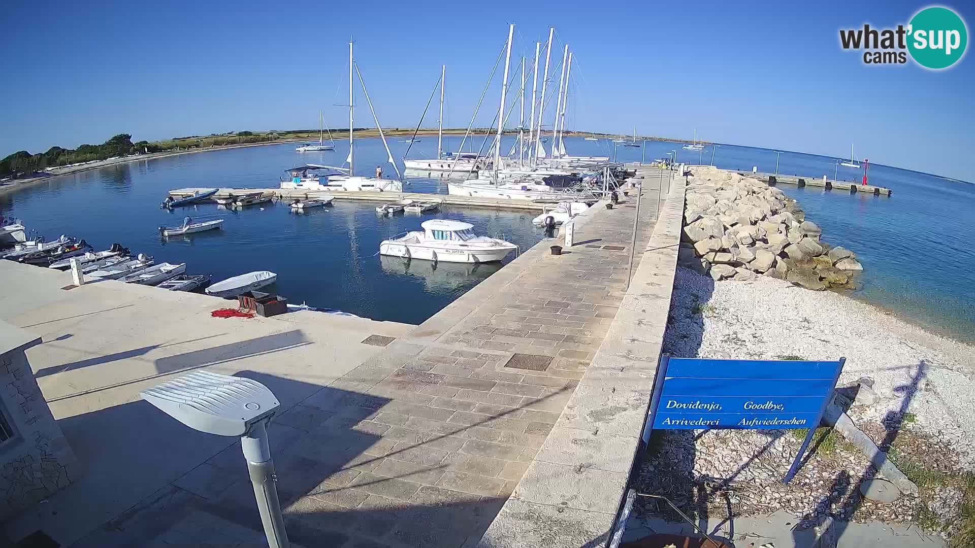 Webcam Isola di Unije – Esplora la bellezza della gemma nascosta della Croazia