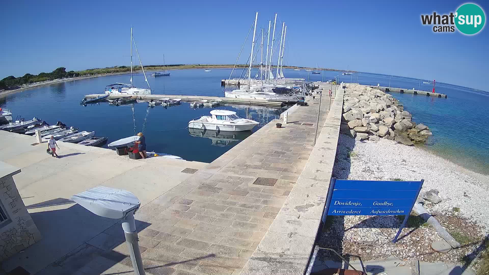 Webcam Isola di Unije – Esplora la bellezza della gemma nascosta della Croazia