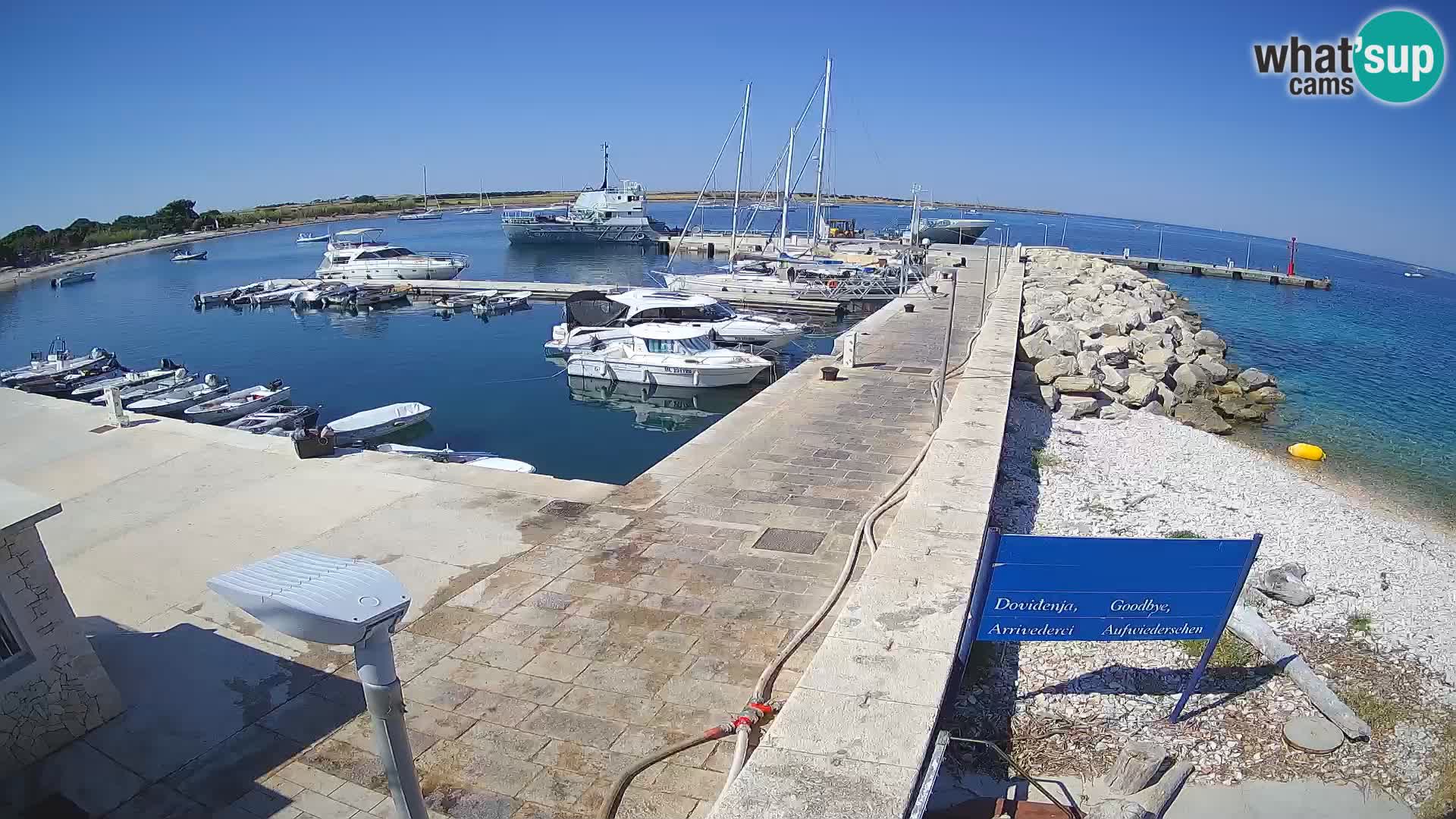 Webcam Isola di Unije – Esplora la bellezza della gemma nascosta della Croazia