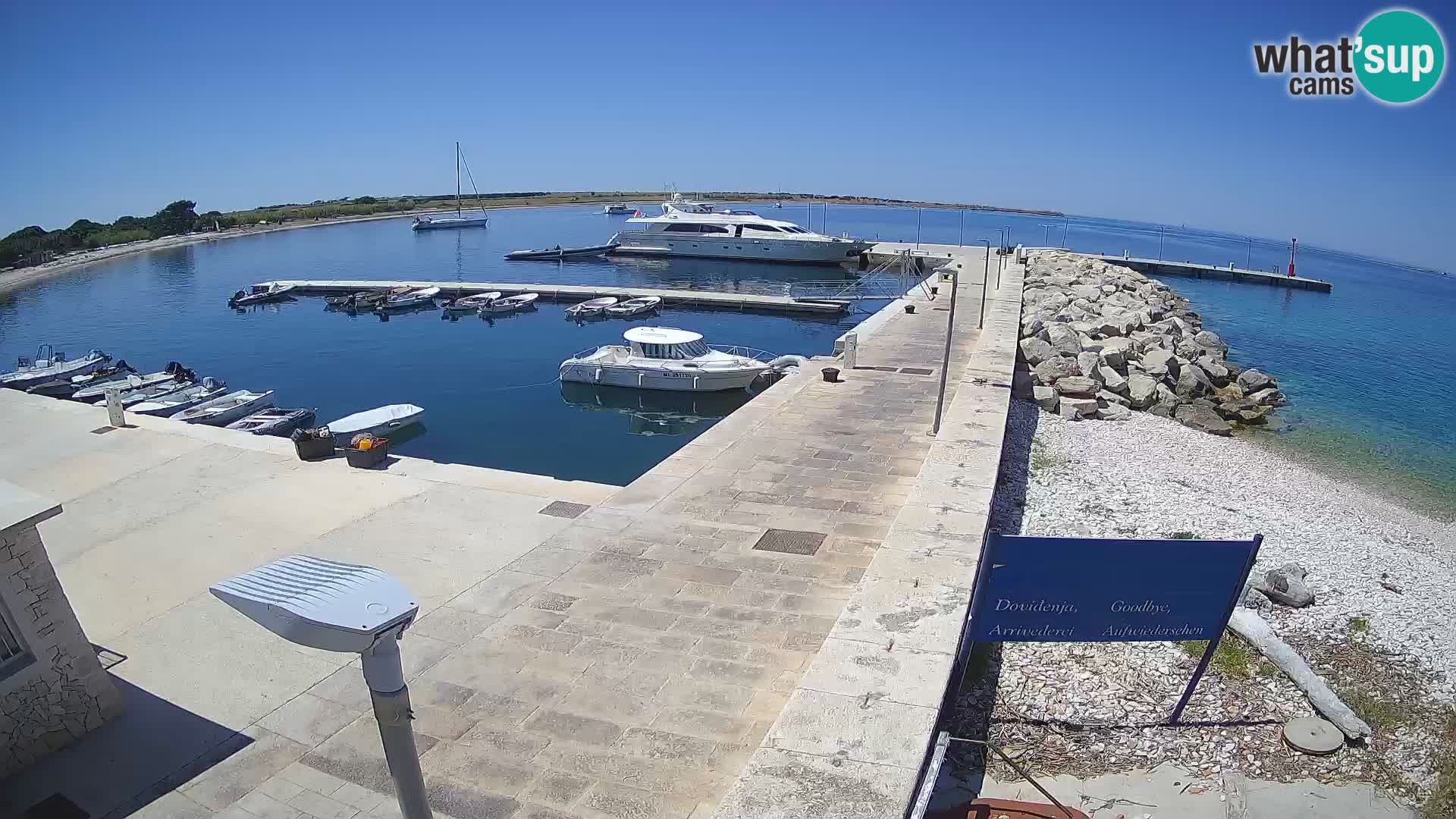 Cámara web de la isla de Unije: explore la belleza de la joya escondida de Croacia