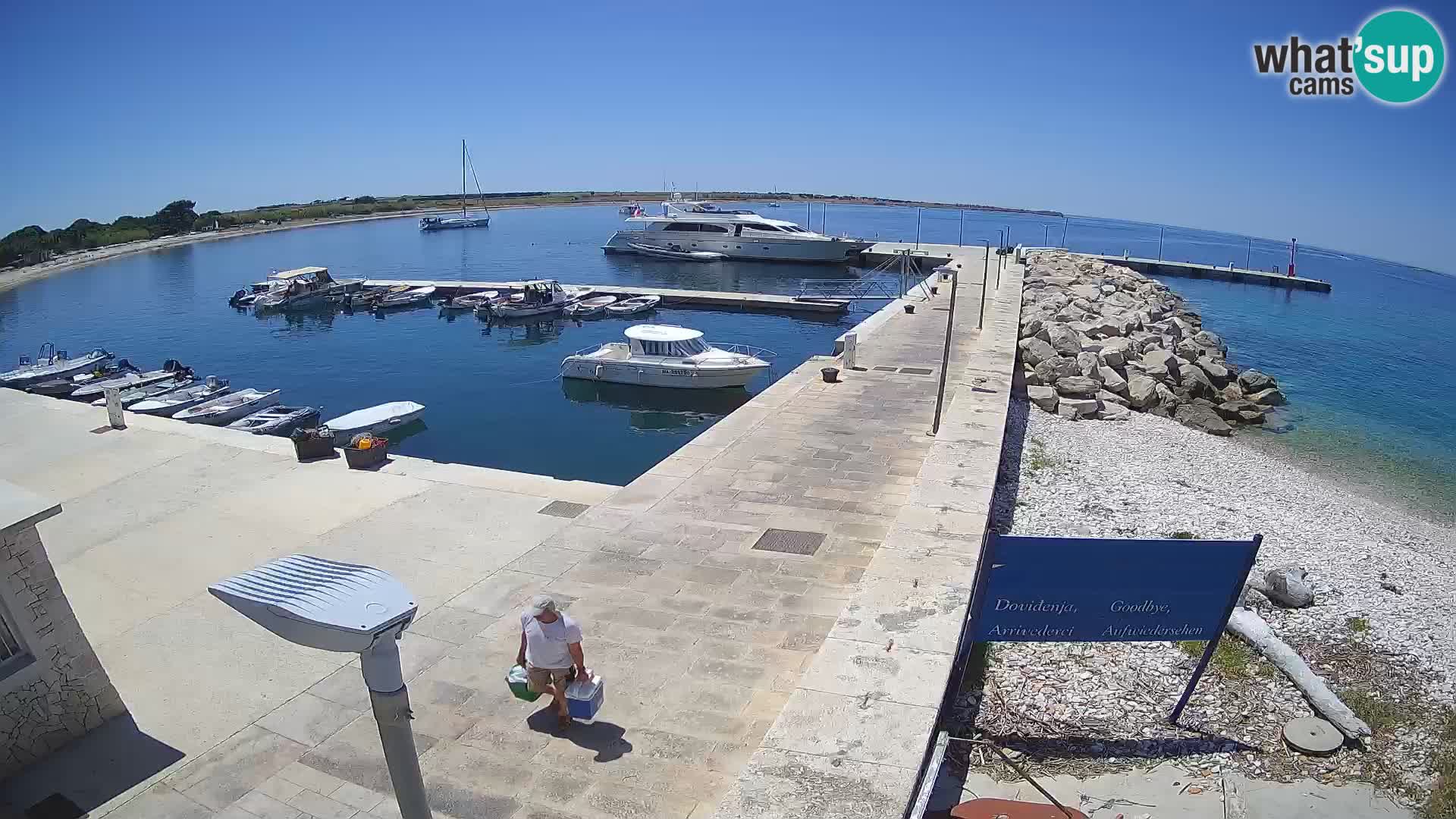 Cámara web de la isla de Unije: explore la belleza de la joya escondida de Croacia