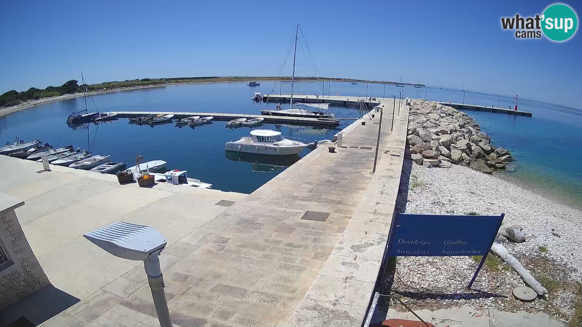 Cámara web de la isla de Unije: explore la belleza de la joya escondida de Croacia