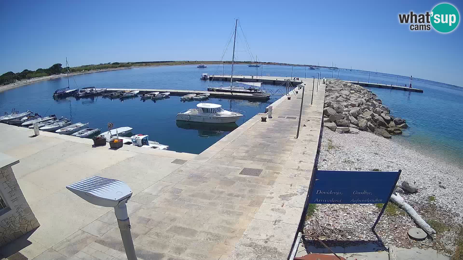 Cámara web de la isla de Unije: explore la belleza de la joya escondida de Croacia