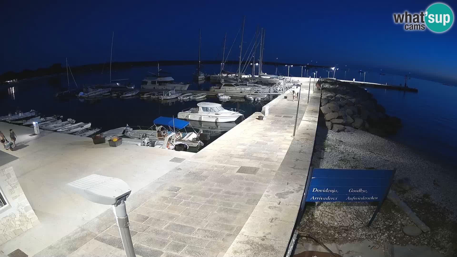 Unije Island Webcam – Explore the Beauty of Croatia’s Hidden Gem