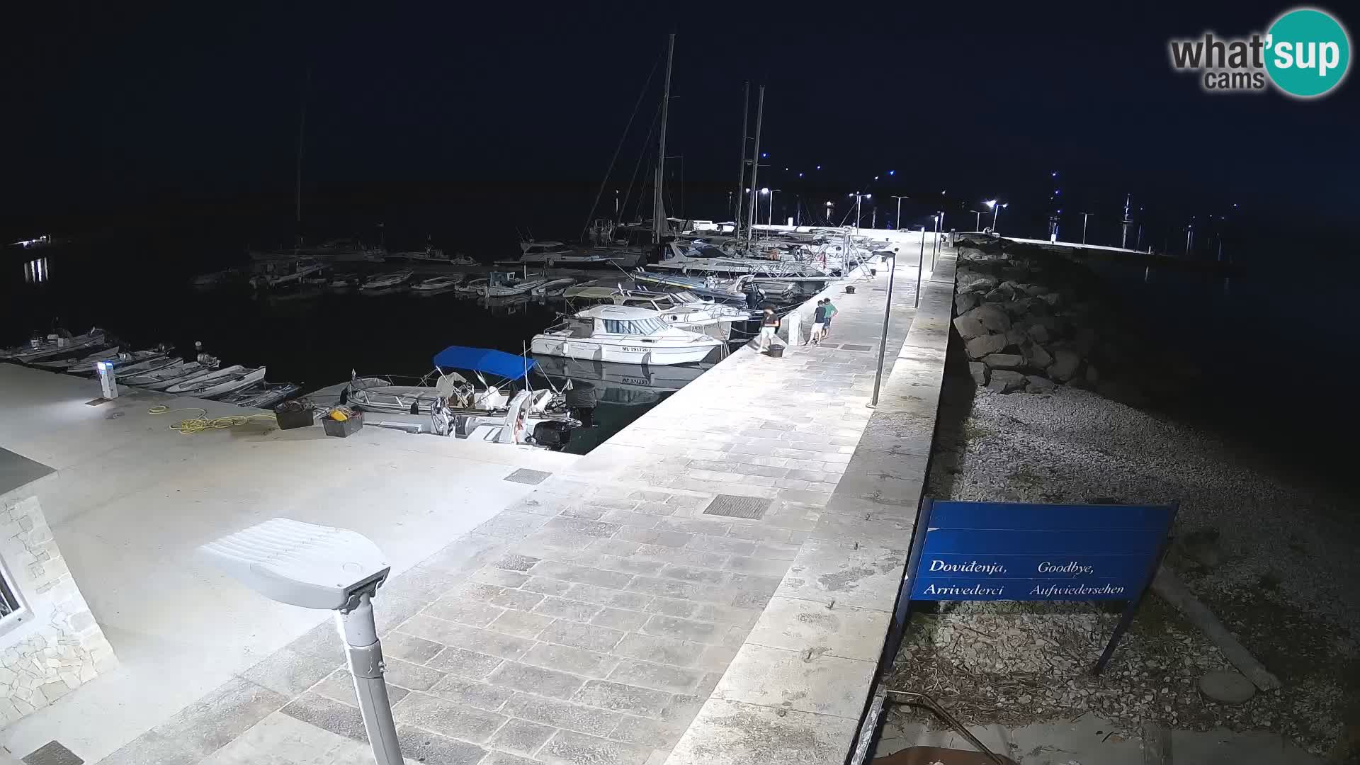 Webcam Isola di Unije – Esplora la bellezza della gemma nascosta della Croazia