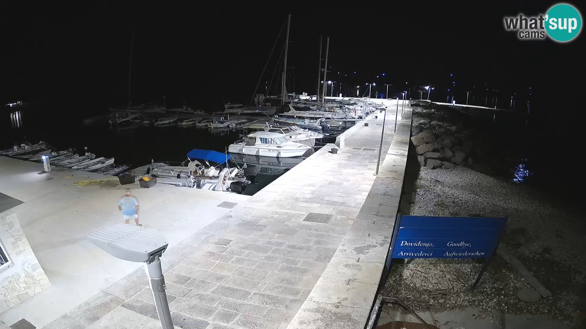Unije Island Webcam – Explore the Beauty of Croatia’s Hidden Gem