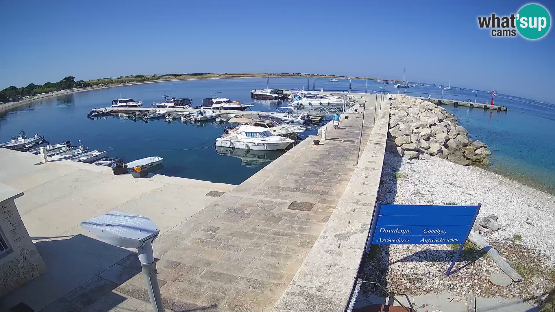 Webcam Isola di Unije – Esplora la bellezza della gemma nascosta della Croazia