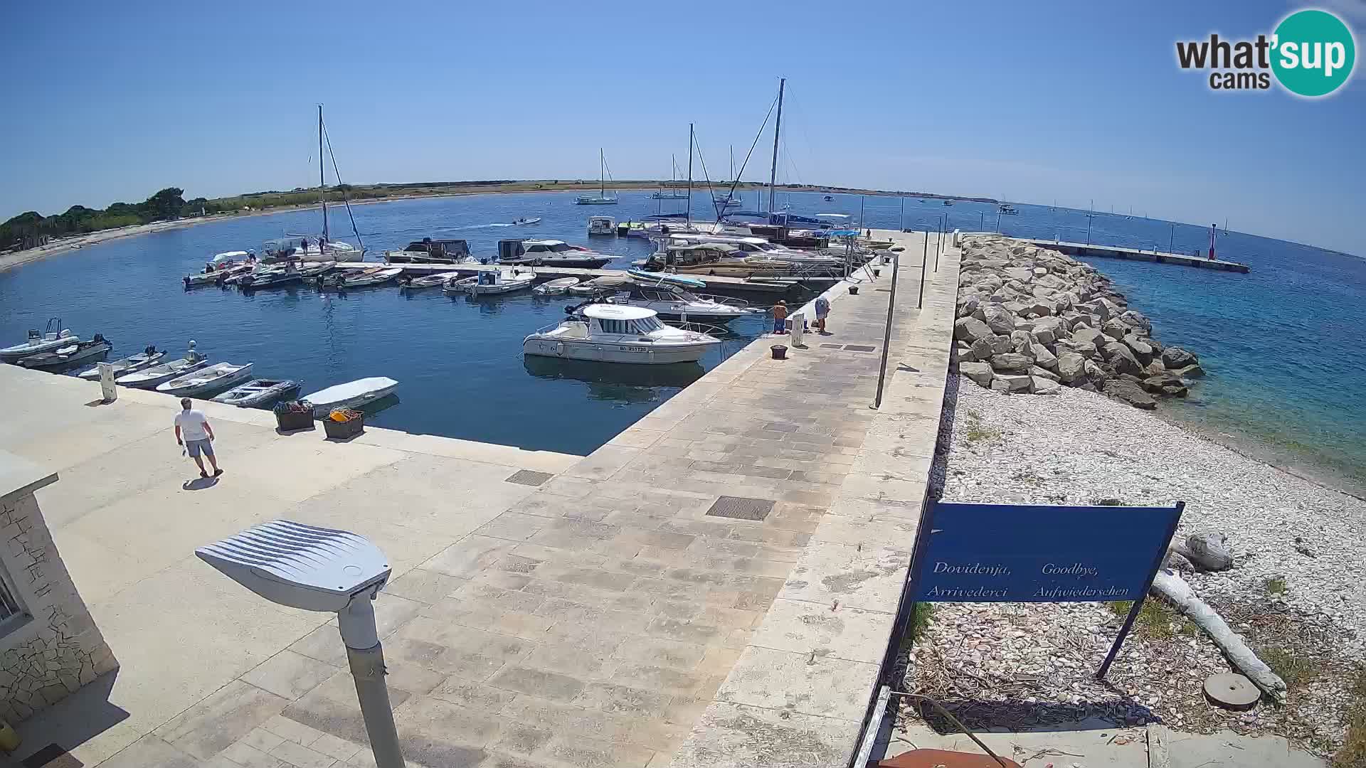 Webcam Isola di Unije – Esplora la bellezza della gemma nascosta della Croazia