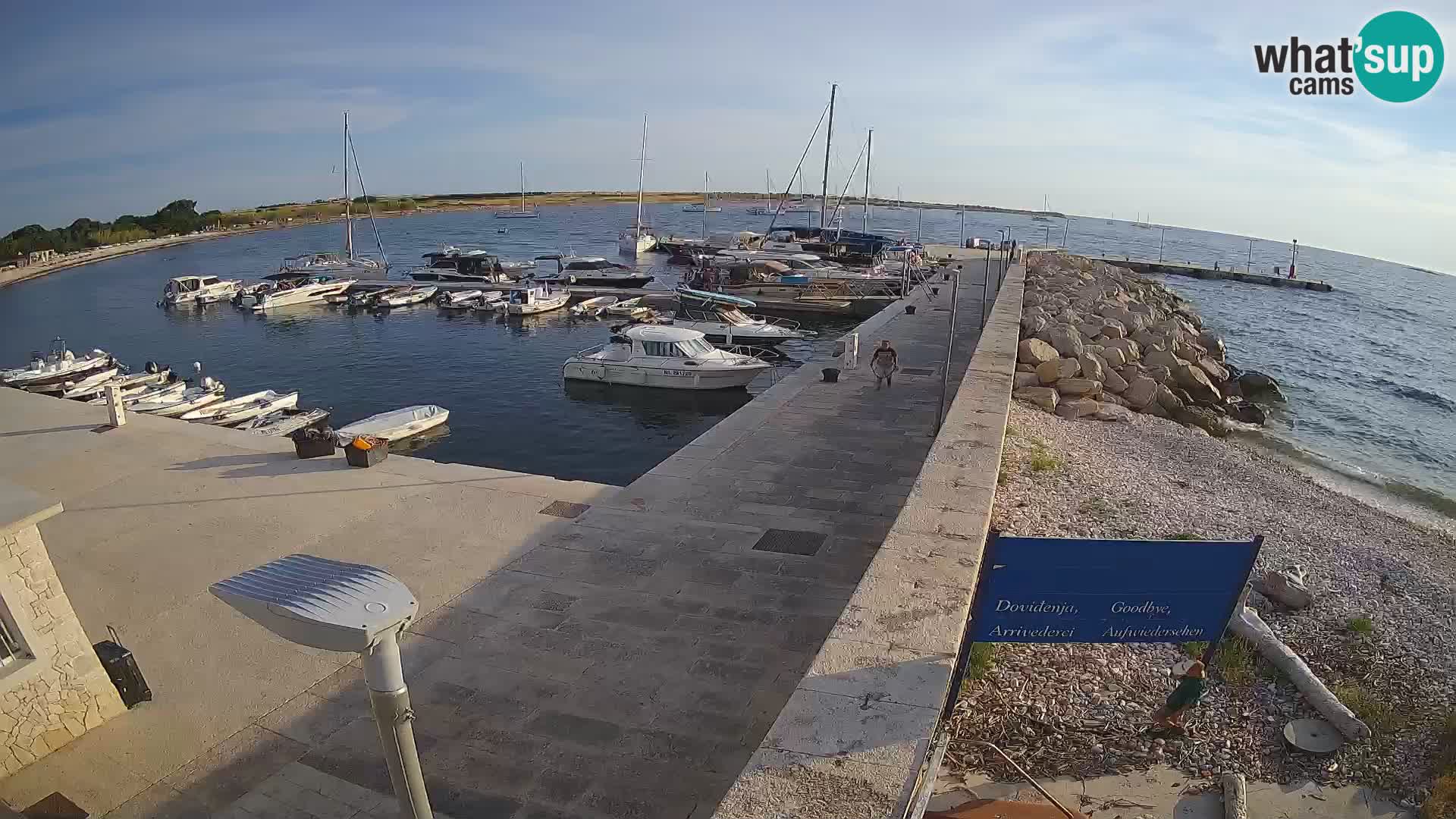 Cámara web de la isla de Unije: explore la belleza de la joya escondida de Croacia
