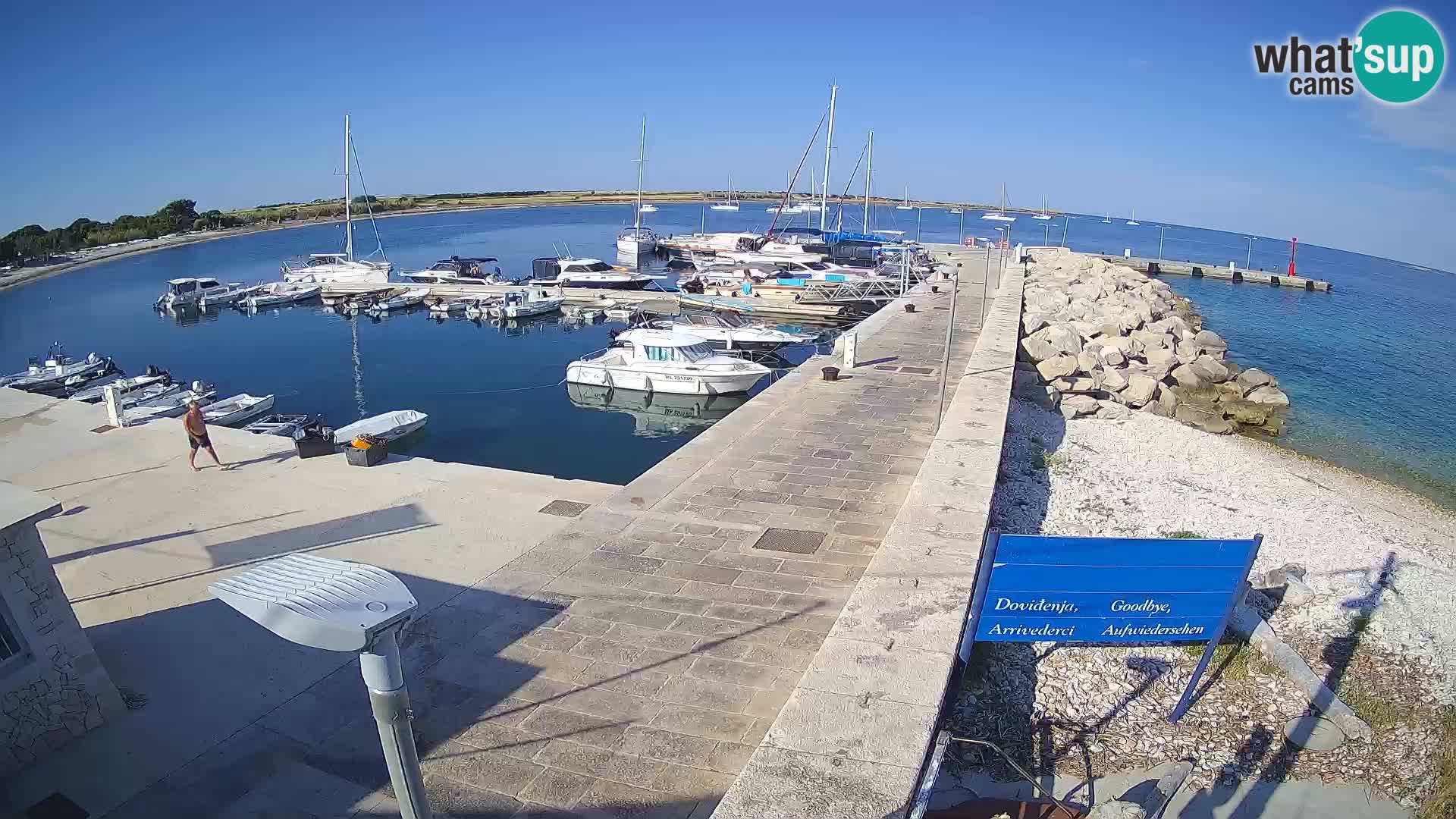 Webcam de l’île d’Unije – Explorez la beauté du joyau caché de la Croatie