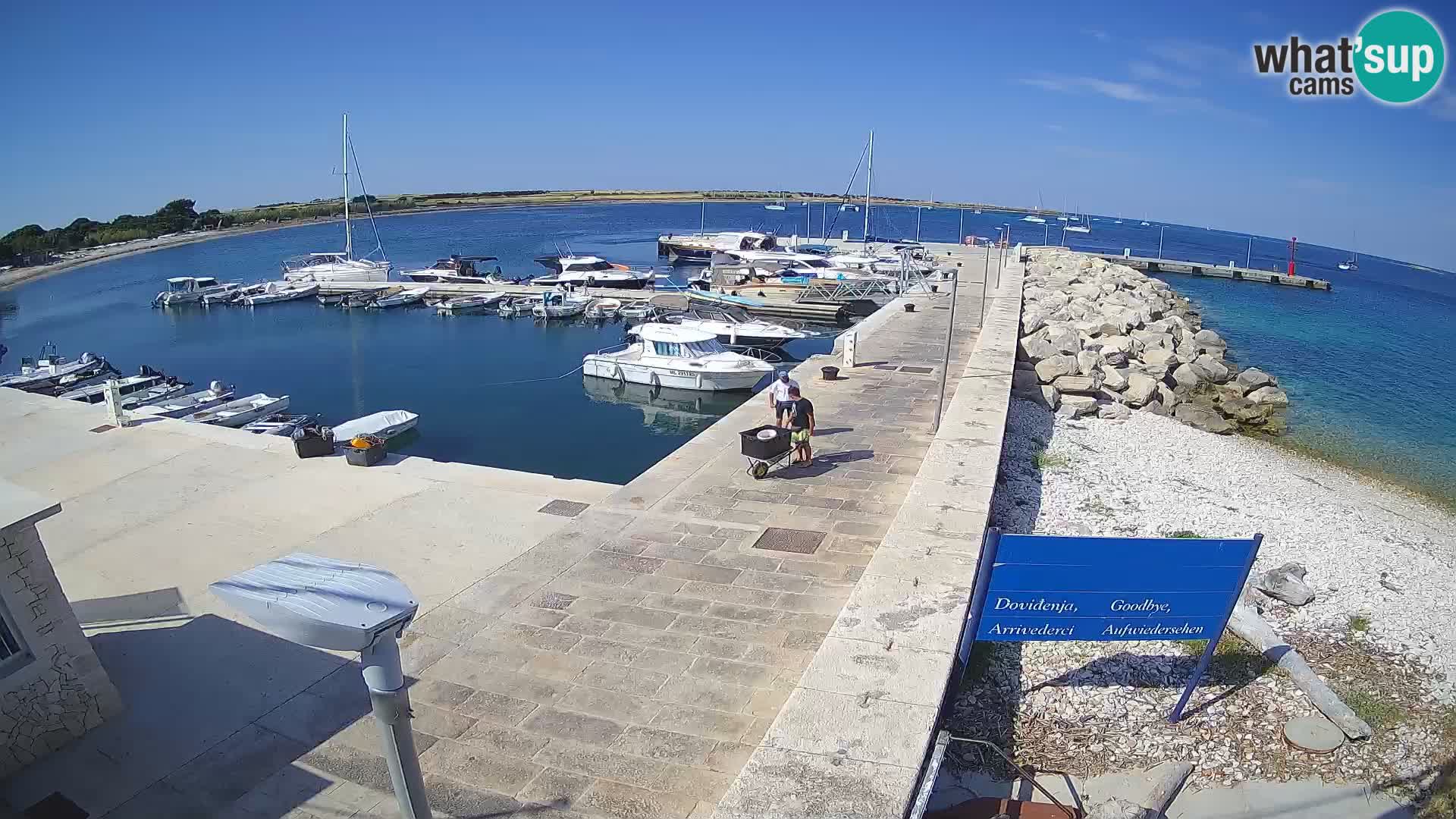 Webcam de l’île d’Unije – Explorez la beauté du joyau caché de la Croatie