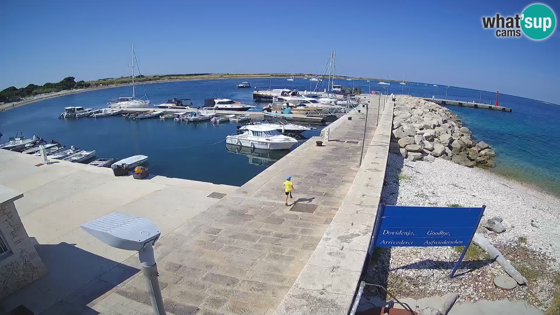 Insel Unije Webcam – Entdecken Sie die Schönheit von Kroatiens verstecktem Juwel