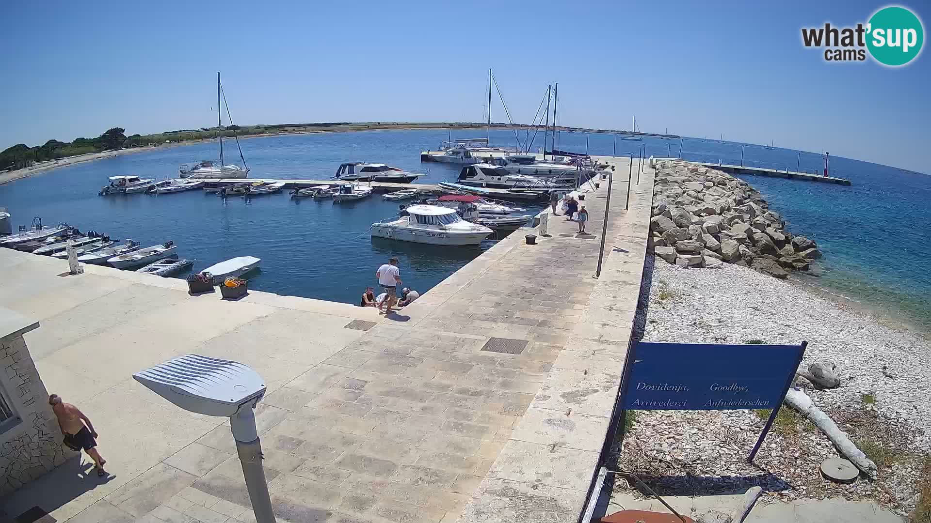 Cámara web de la isla de Unije: explore la belleza de la joya escondida de Croacia