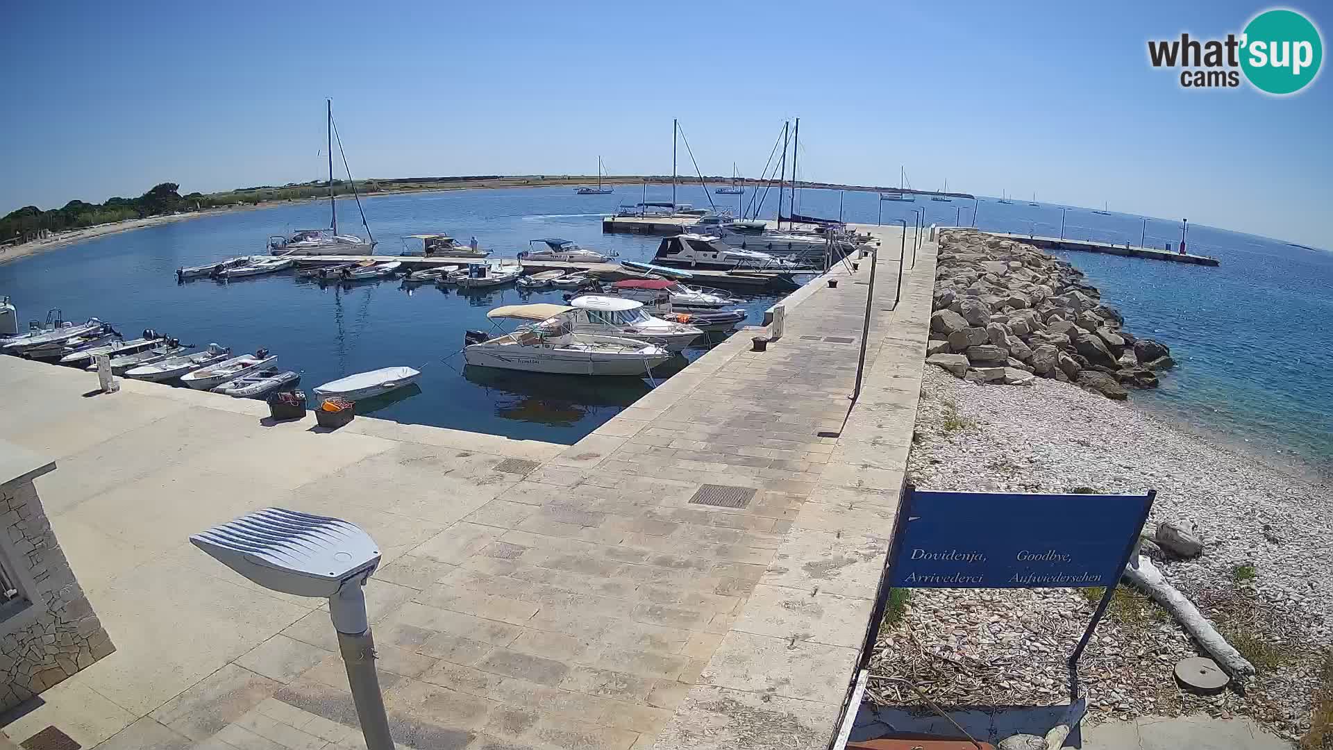 Webcam Isola di Unije – Esplora la bellezza della gemma nascosta della Croazia