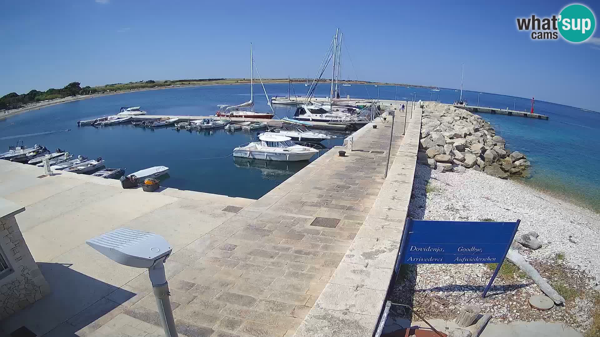 Cámara web de la isla de Unije: explore la belleza de la joya escondida de Croacia
