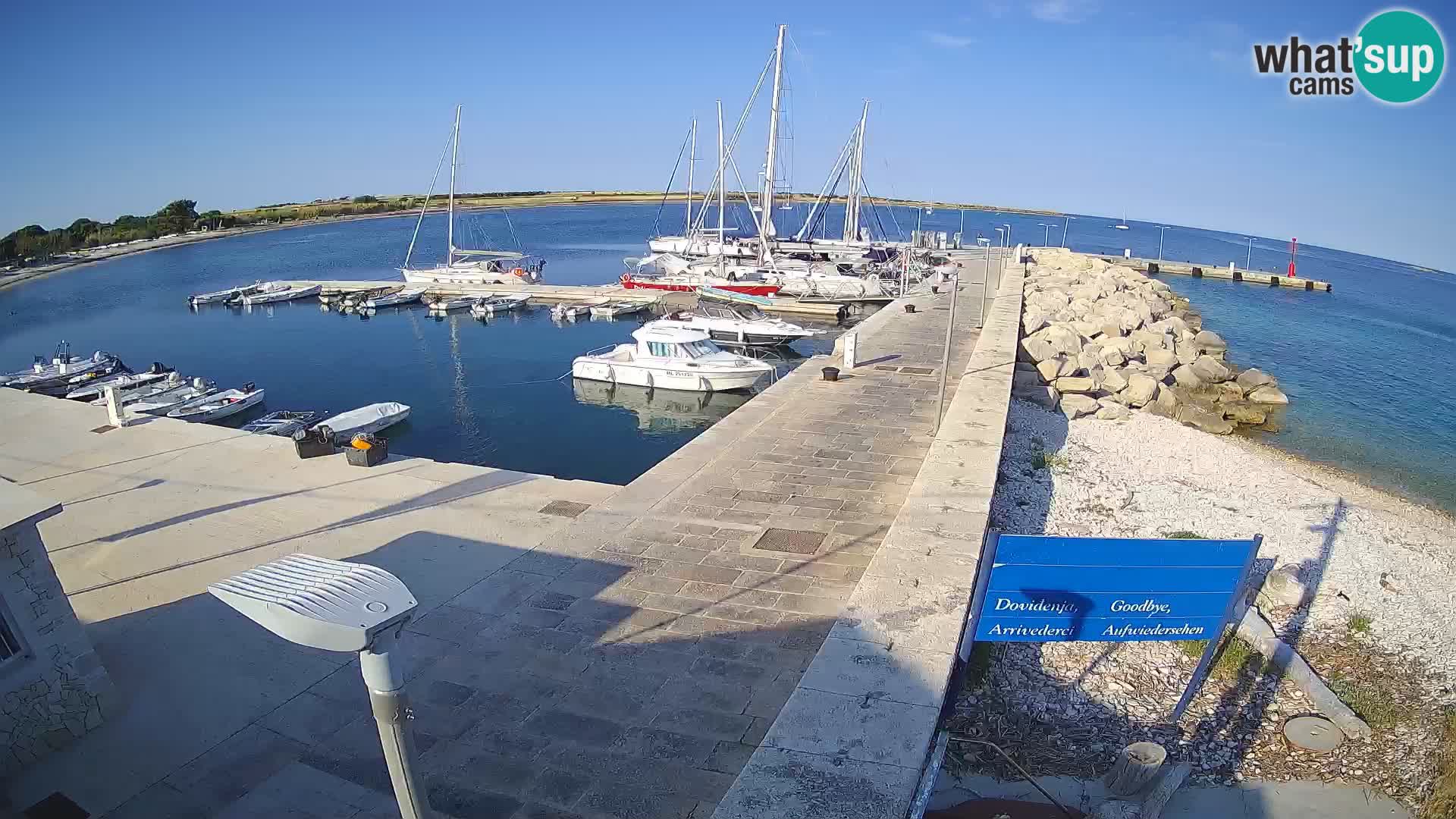 Webcam Isola di Unije – Esplora la bellezza della gemma nascosta della Croazia