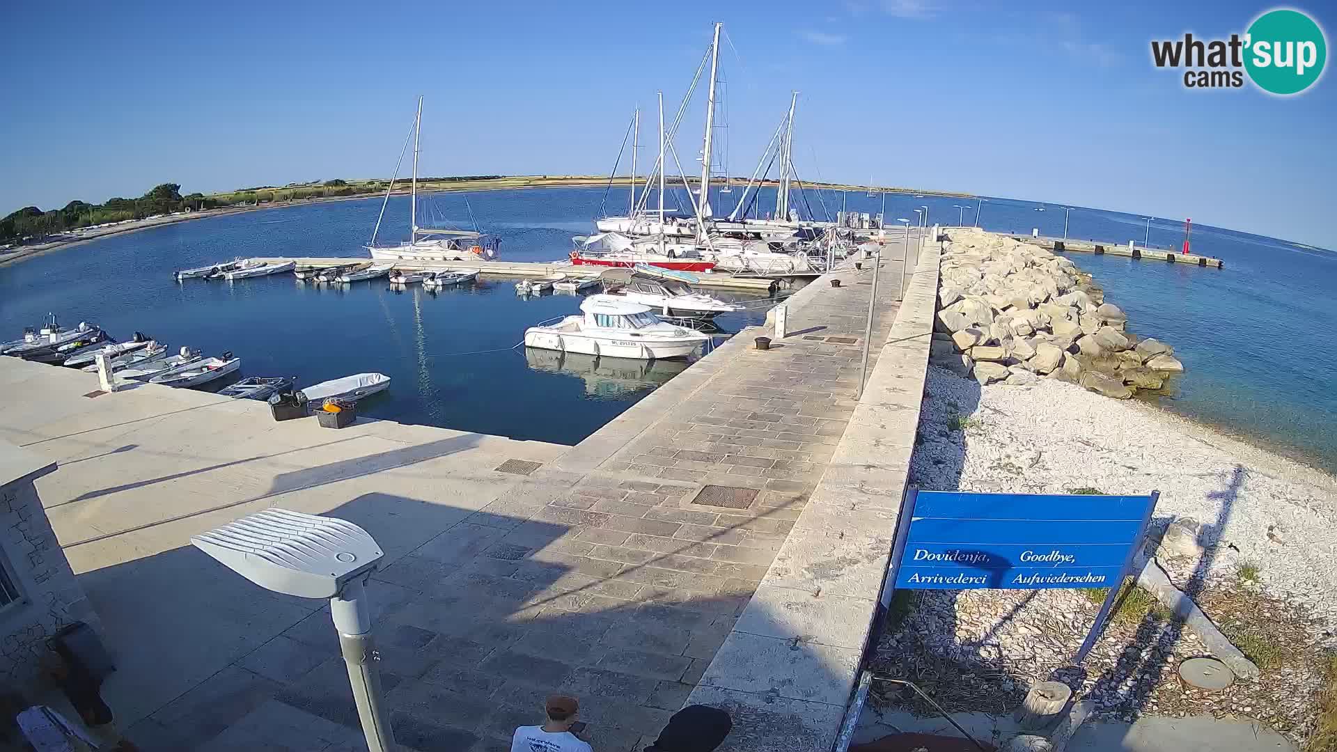 Webcam de l’île d’Unije – Explorez la beauté du joyau caché de la Croatie