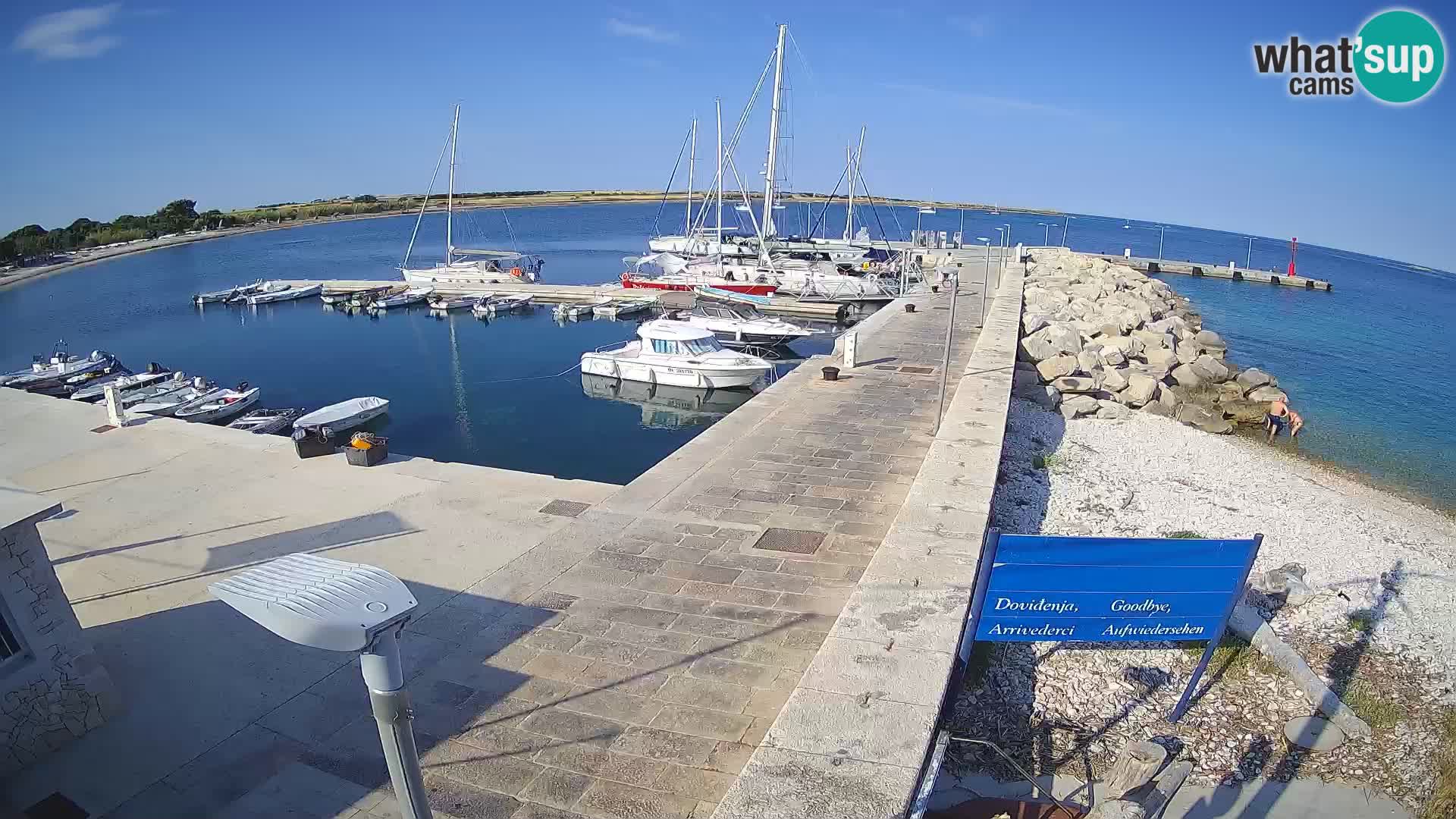 Webcam Isola di Unije – Esplora la bellezza della gemma nascosta della Croazia