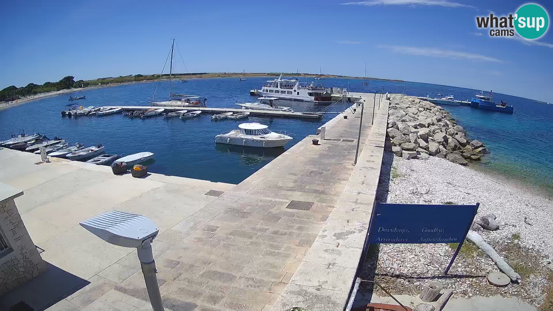 Cámara web de la isla de Unije: explore la belleza de la joya escondida de Croacia