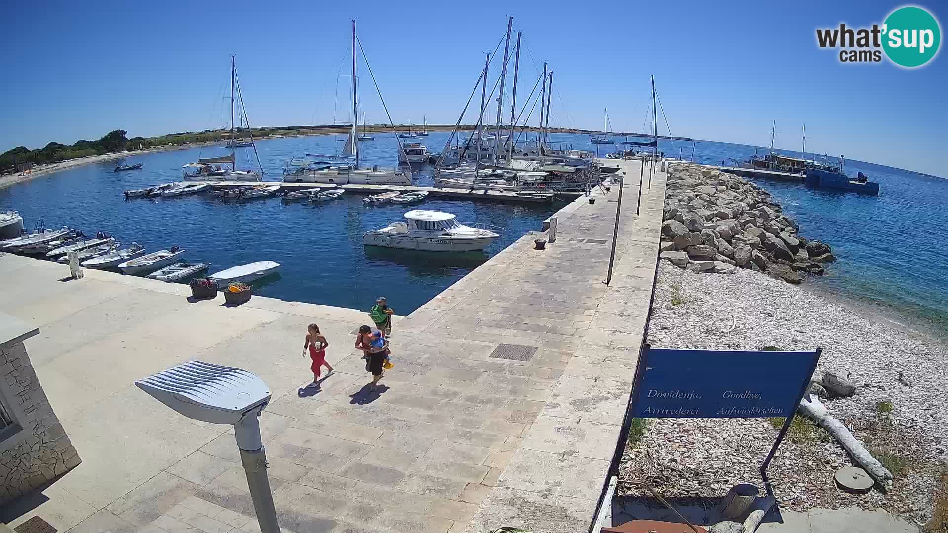 Cámara web de la isla de Unije: explore la belleza de la joya escondida de Croacia