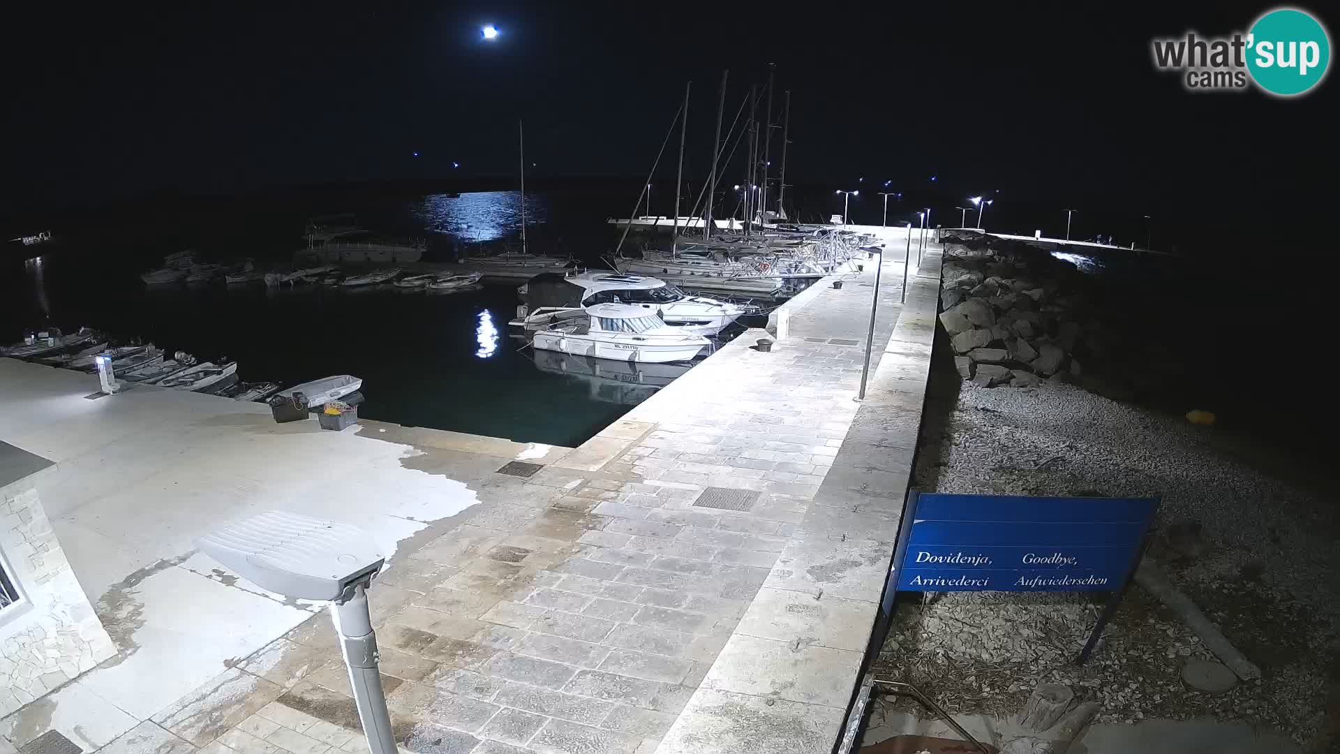 Webcam de l’île d’Unije – Explorez la beauté du joyau caché de la Croatie