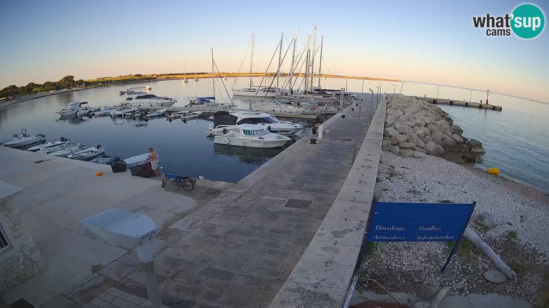 Cámara web de la isla de Unije: explore la belleza de la joya escondida de Croacia