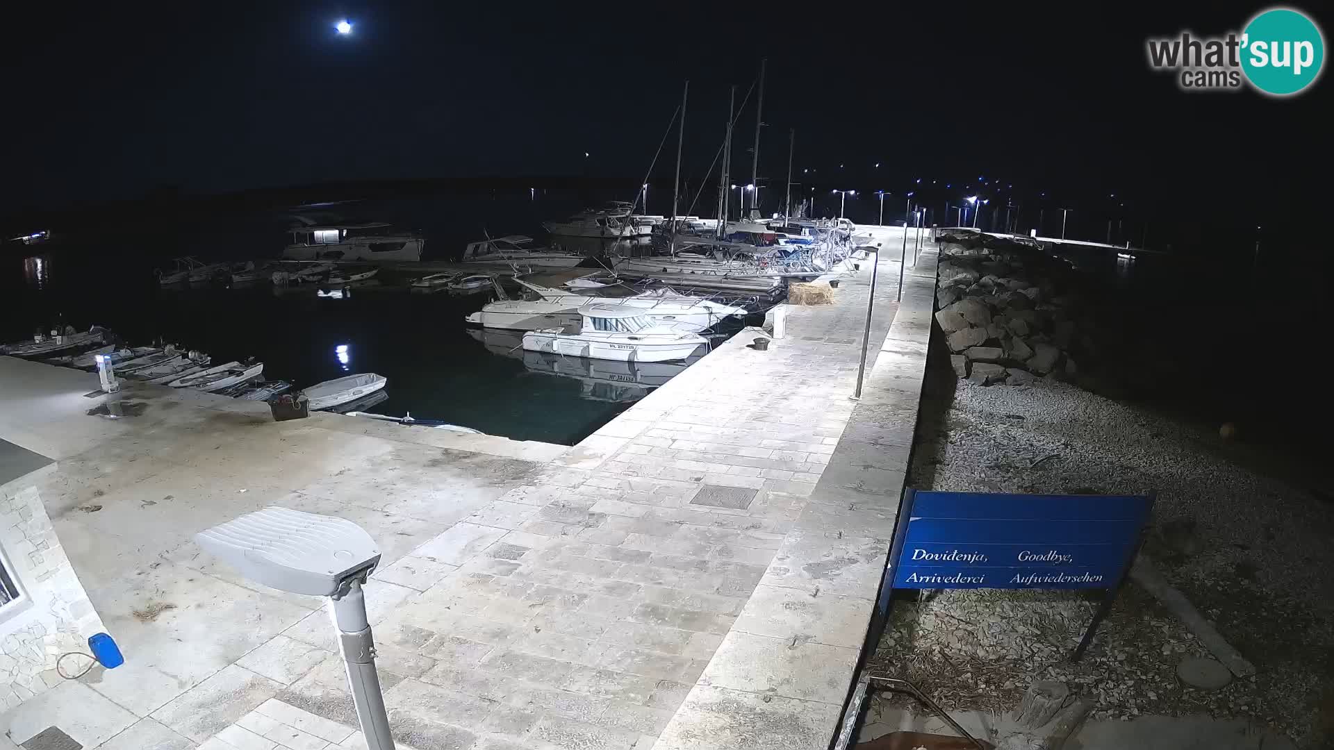 Cámara web de la isla de Unije: explore la belleza de la joya escondida de Croacia