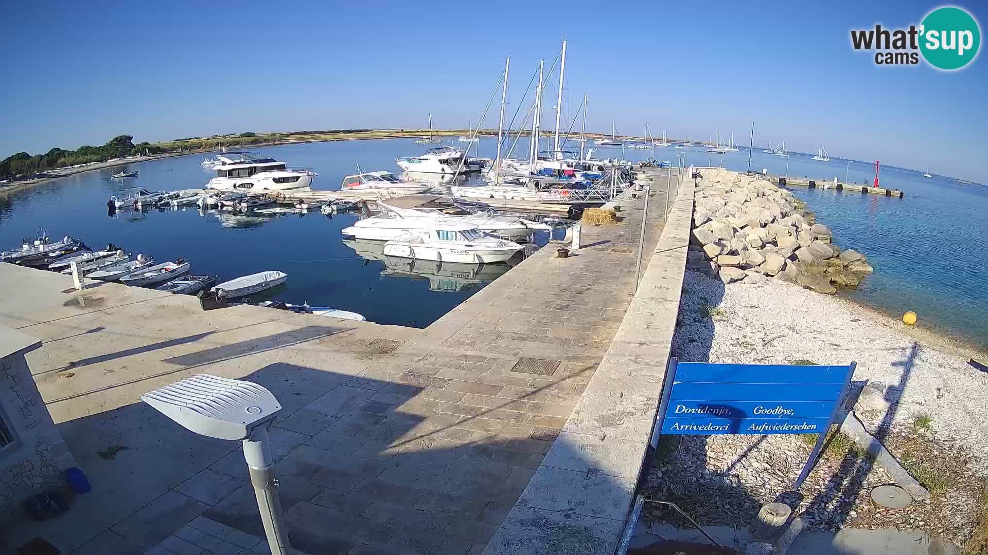 Webcam de l’île d’Unije – Explorez la beauté du joyau caché de la Croatie