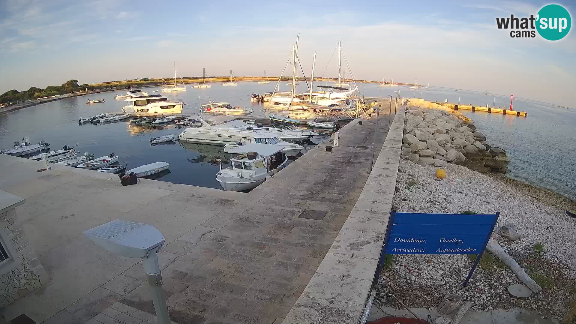 Cámara web de la isla de Unije: explore la belleza de la joya escondida de Croacia