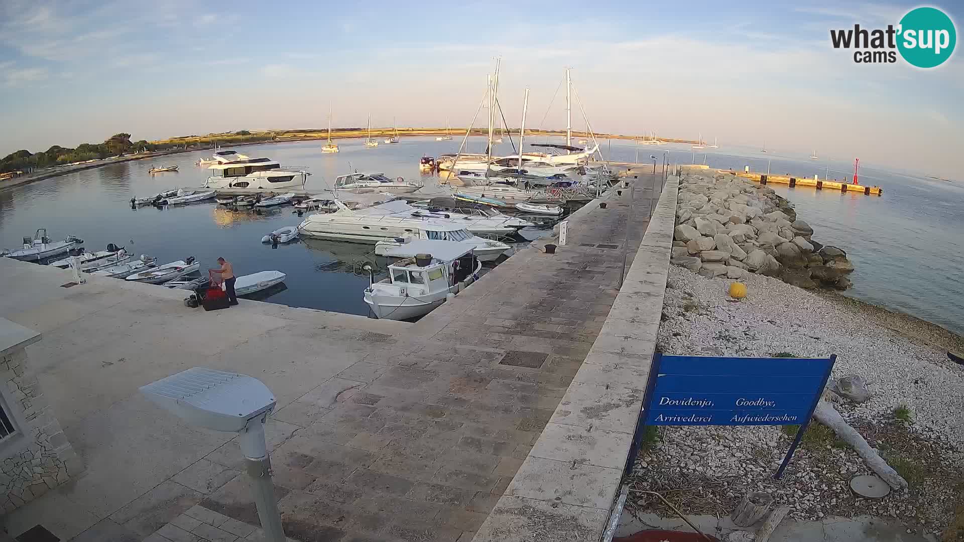 Cámara web de la isla de Unije: explore la belleza de la joya escondida de Croacia