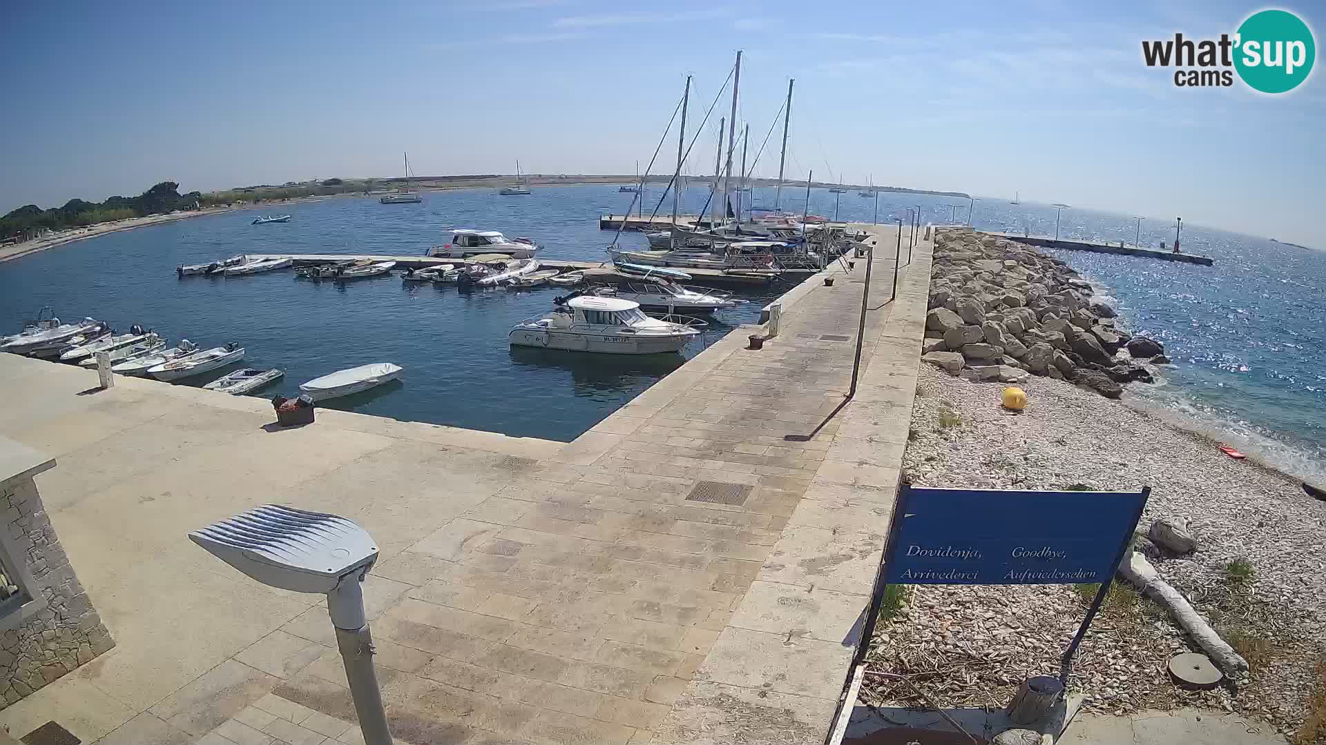 Cámara web de la isla de Unije: explore la belleza de la joya escondida de Croacia