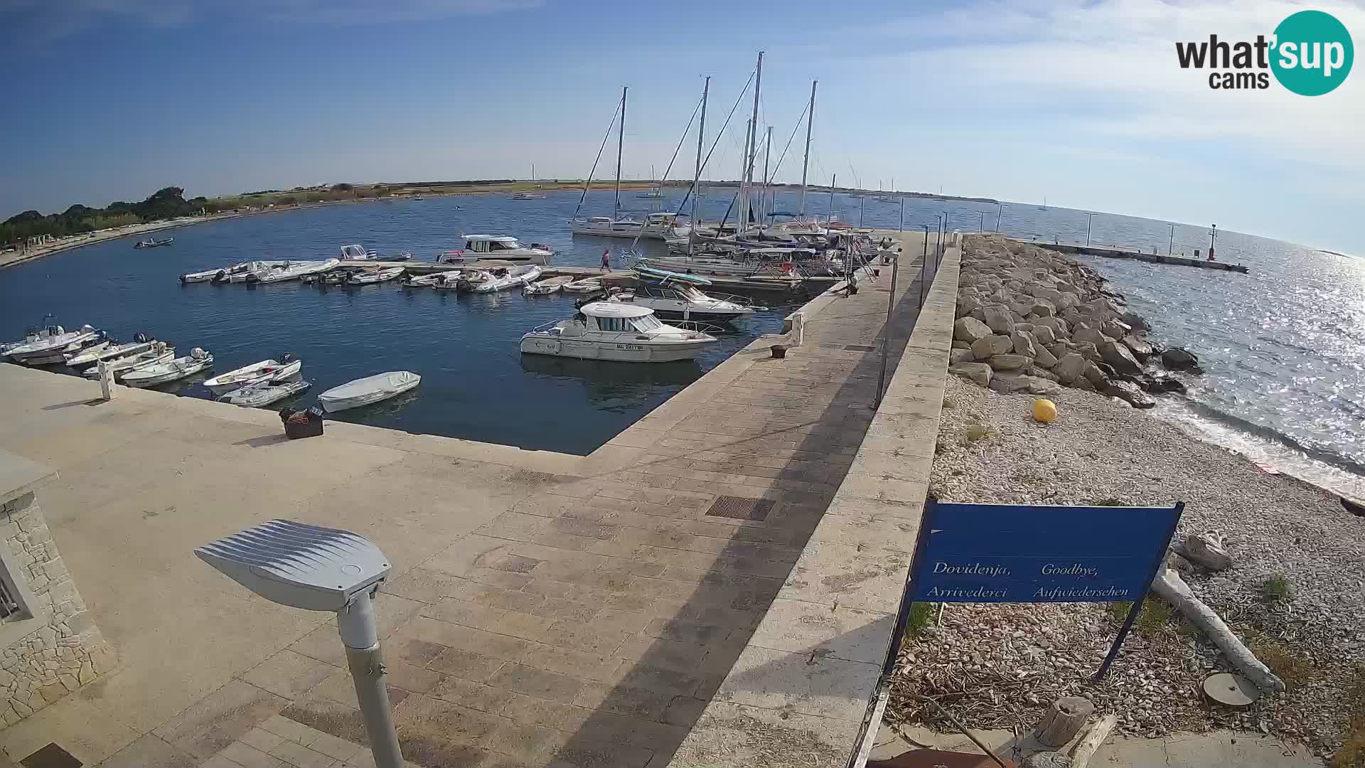 Cámara web de la isla de Unije: explore la belleza de la joya escondida de Croacia